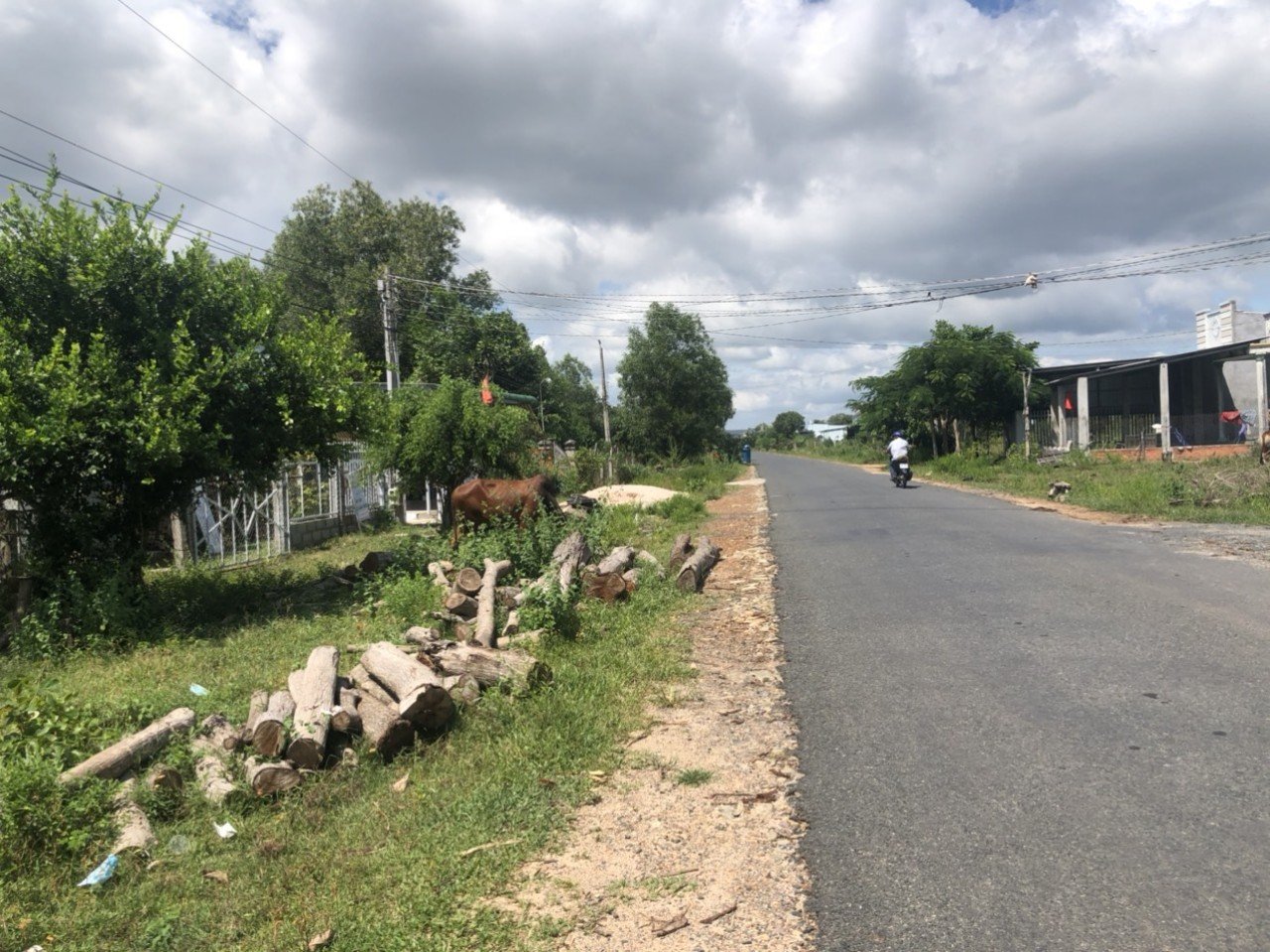 Cần bán Đất đường Nguyễn Thông, Xã Tân Bình, Diện tích 583m², Giá Thương lượng