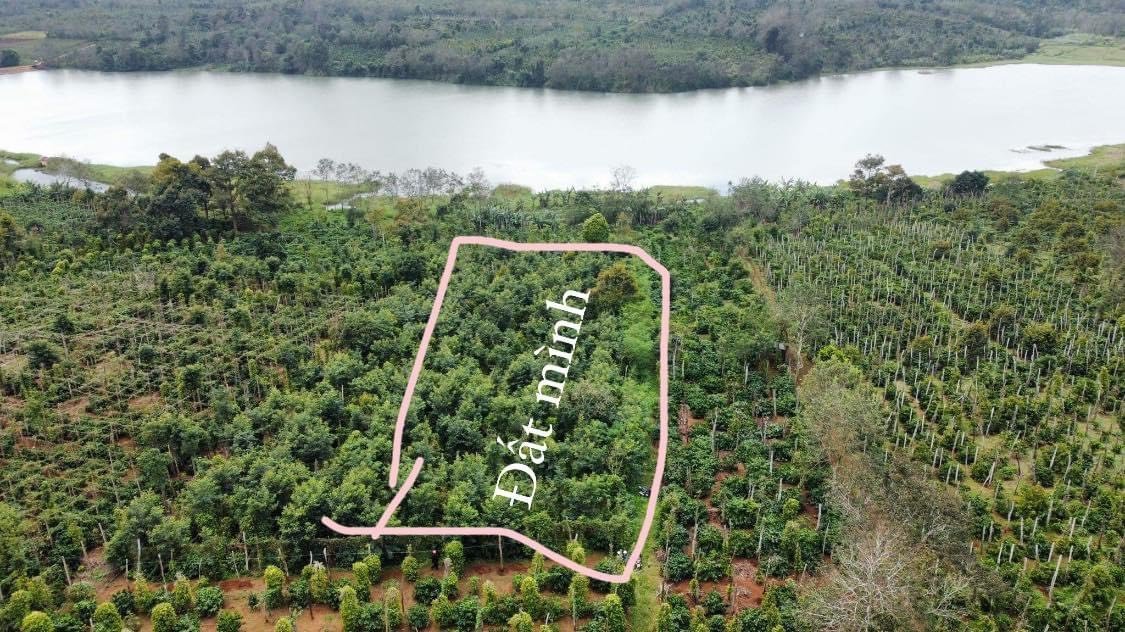 Cần bán Đất Buôn Hồ, Đắk Lắk, Diện tích 3200m², Giá Thương lượng
