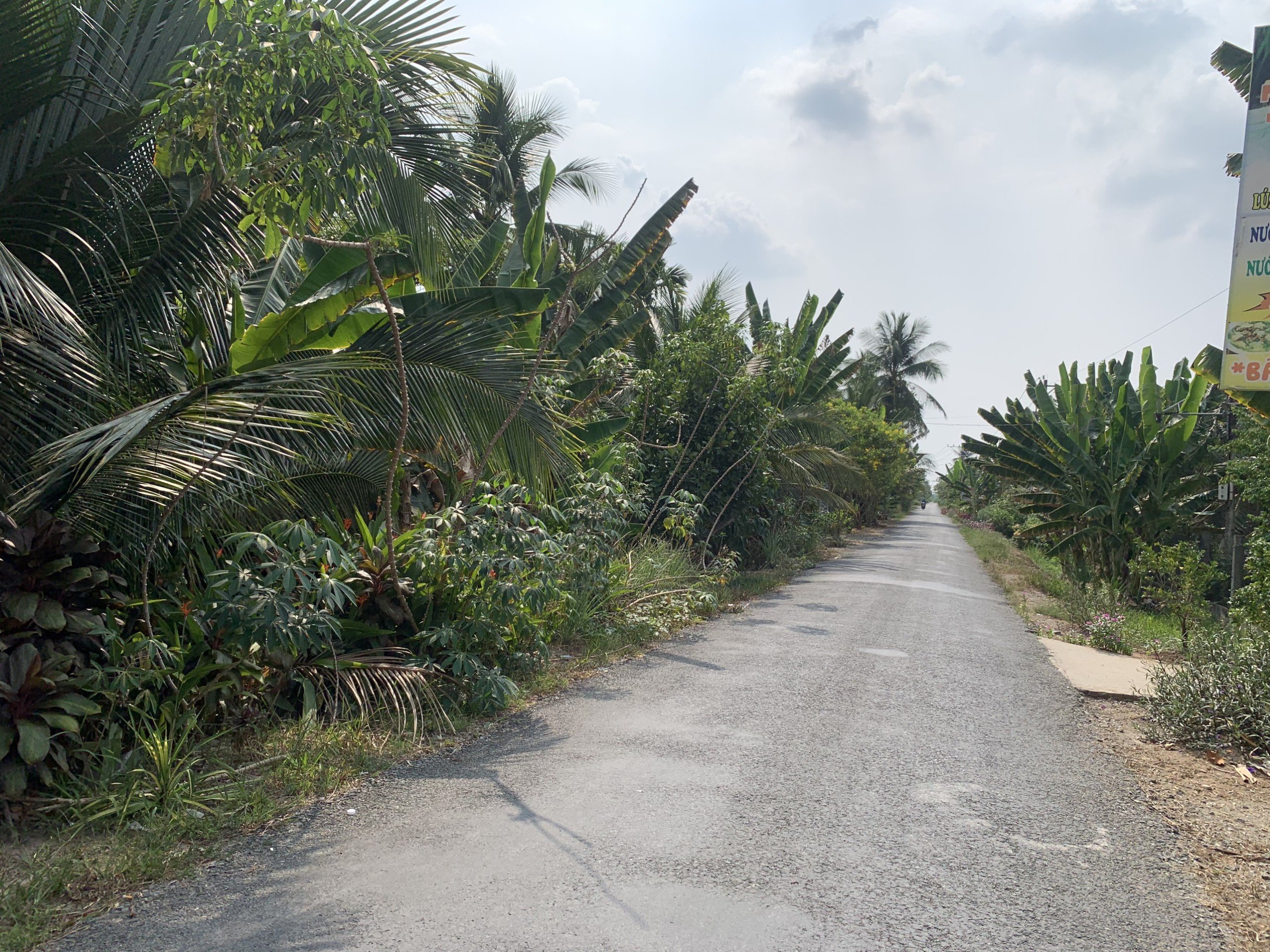 Chính chủ bán đất Long Hoà, nền 2 mặt tiền đường, 134m2 có 50m2 thổ cư, gần KCN Phú Thuận, Bình Đại 1