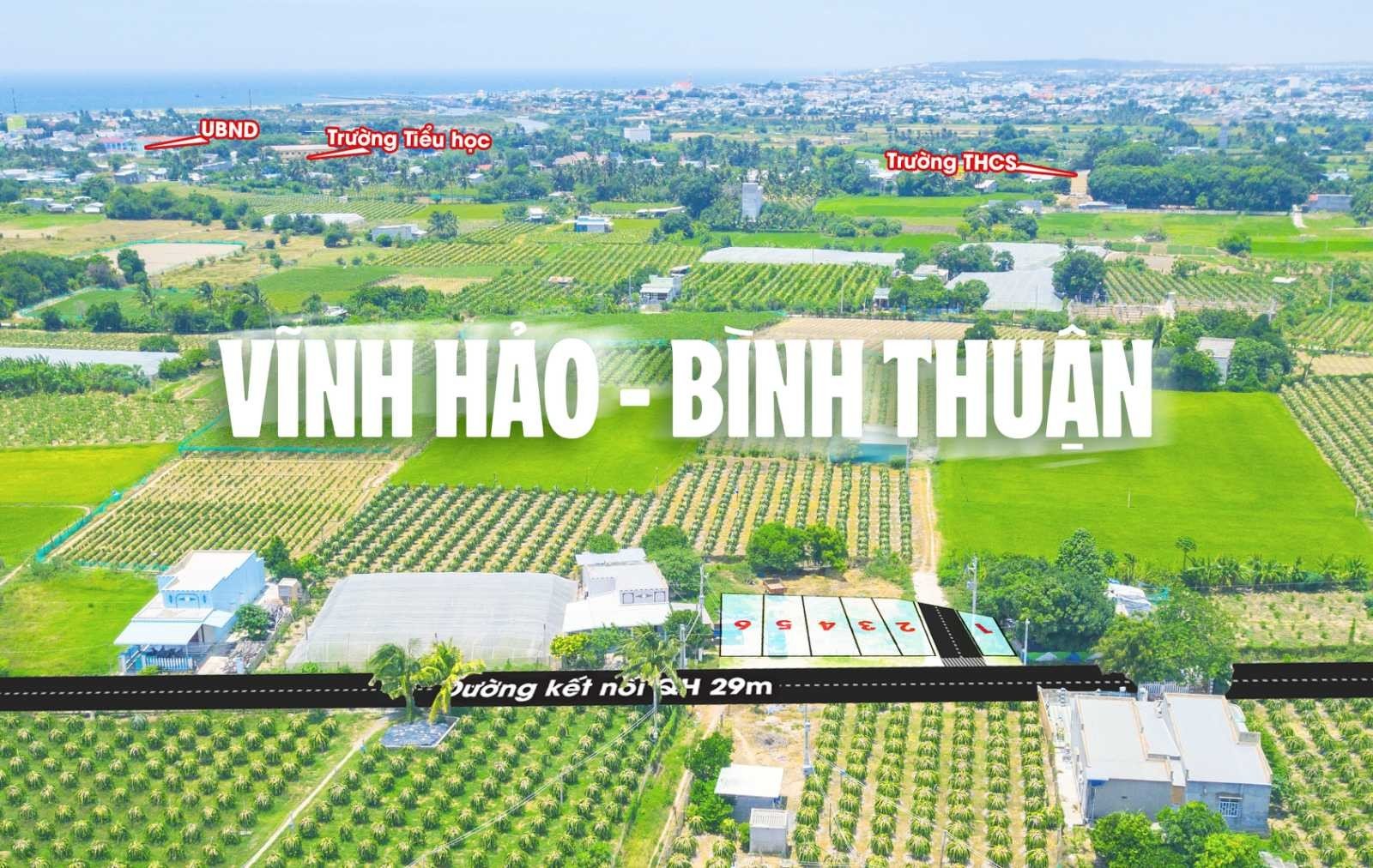 750 triệu/nền đất ven biển Bình Thuận Gần KCN - gần cao tốc - gần cảng biển 4