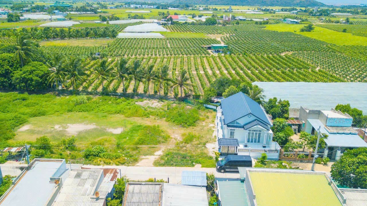 Cần bán Đất đường Quốc lộ 1A, Xã Phước Thể, Diện tích 122m², Giá 750 Triệu