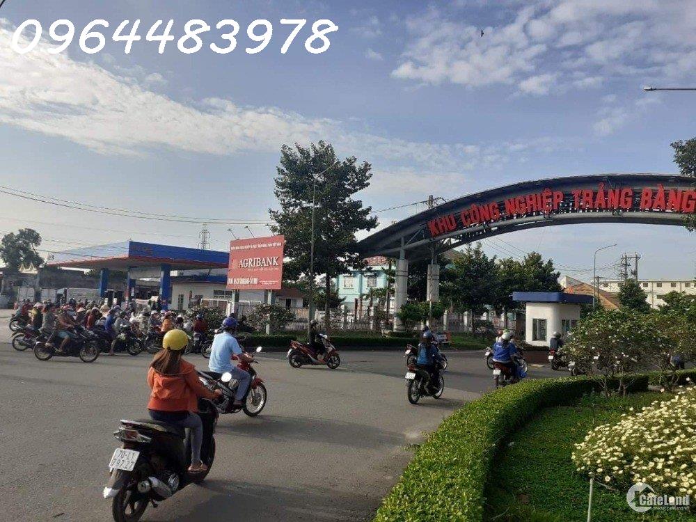 470m2 đất ở đô thị  Phường An Tịnh - Trảng Bàng- Tây Ninh chỉ 3tr/m2 2