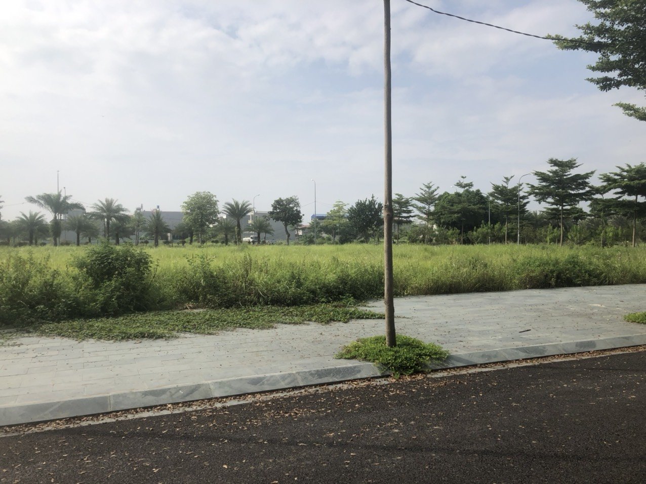 Cần bán Đất Phường Đồng Kỵ, Từ Sơn, Diện tích 170m², Giá Thương lượng 4