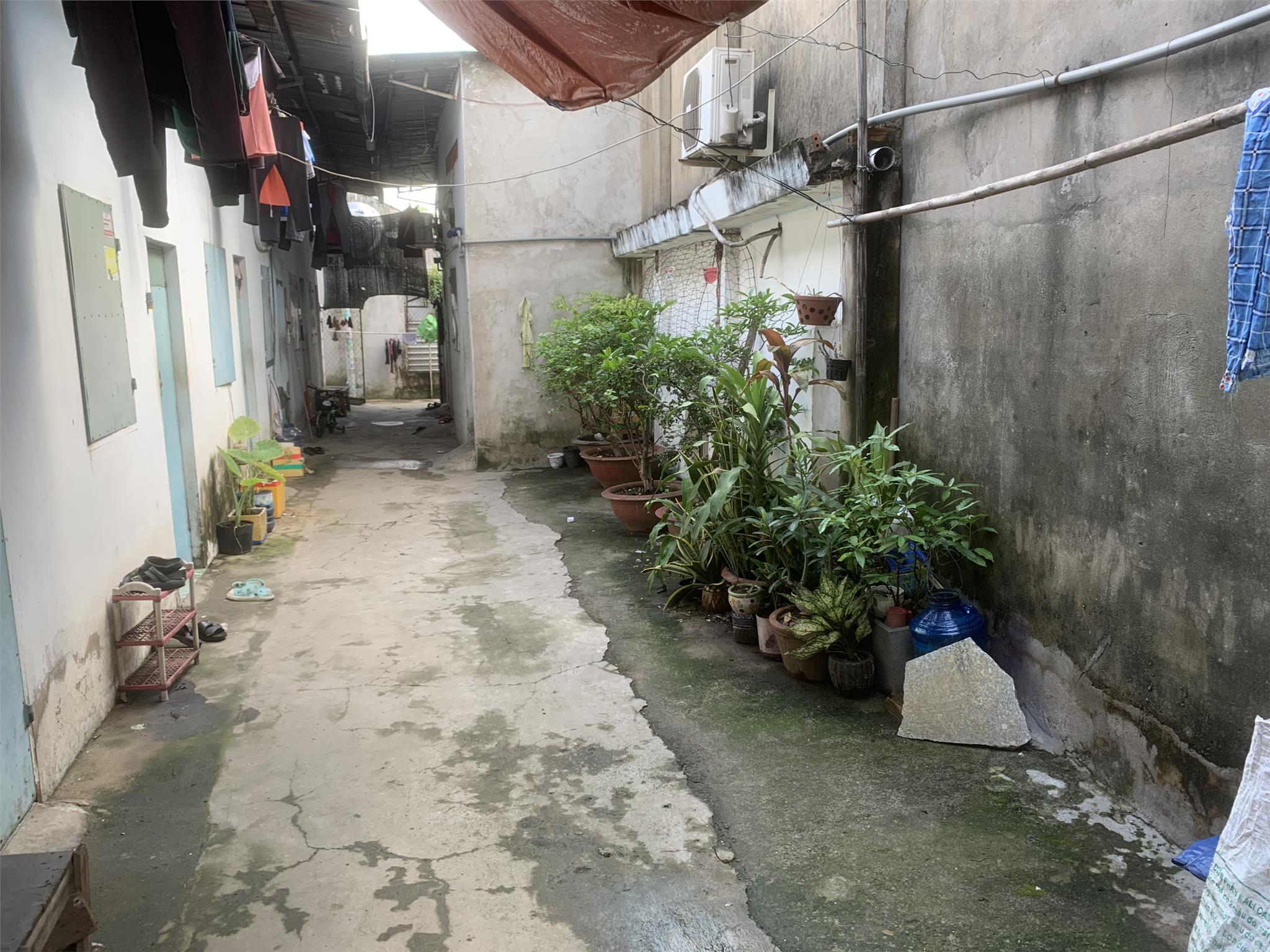 ĐẤT ĐẸP - GIÁ TỐT - Cần Bán Đất Tặng nhà + Dãy Trọ Vị Trí Đắc Địa Tại Xã Bình Chuẩn, Thuận An 5