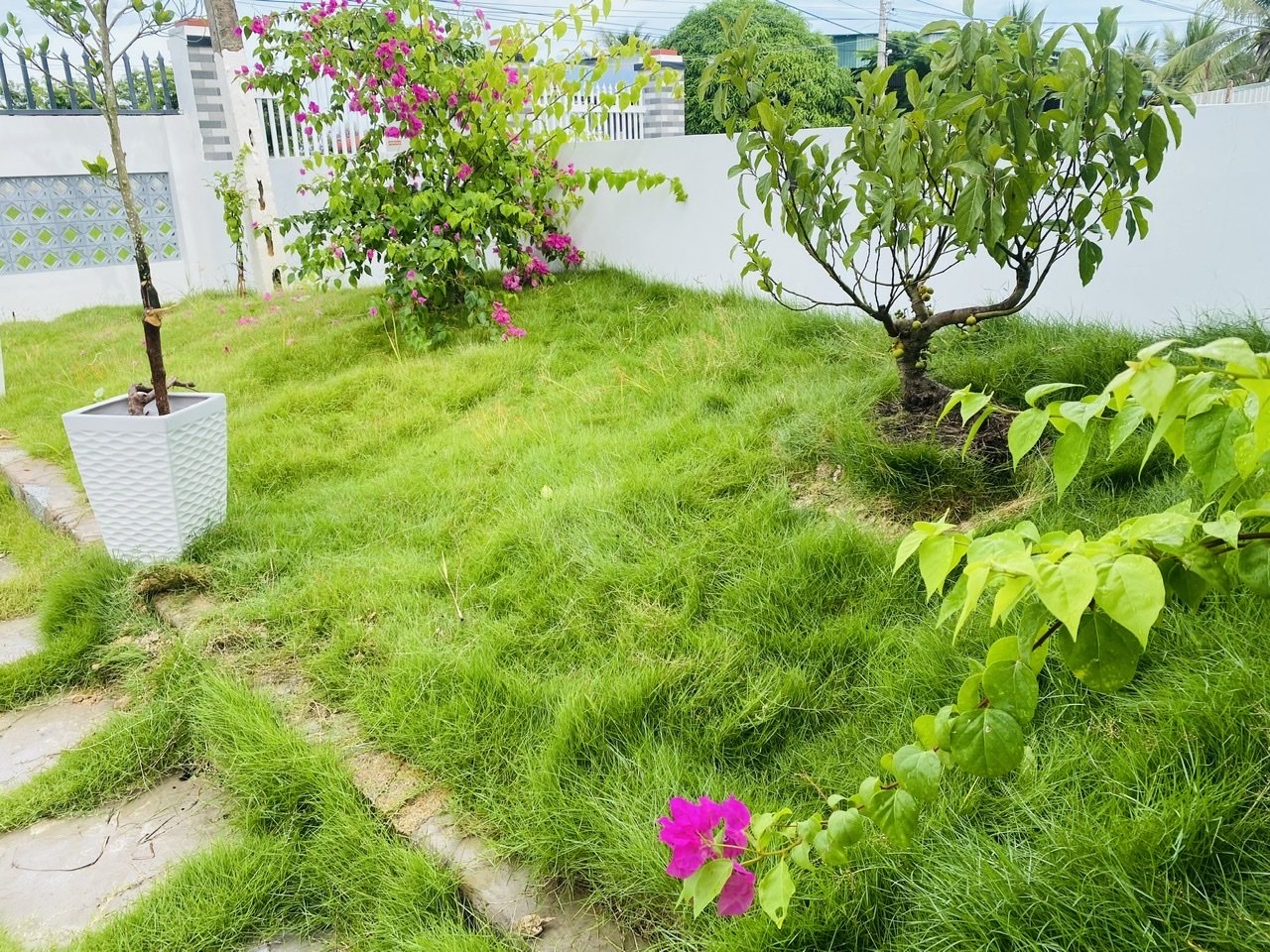 Khu Mini Homestay mới Xây 220m2. Mặt tiền đường nhựa chính , đối diện KDC Rạng Đông . Thích hợp Cho Anh Chị Đầu Tư Nghĩ Dưỡng 2