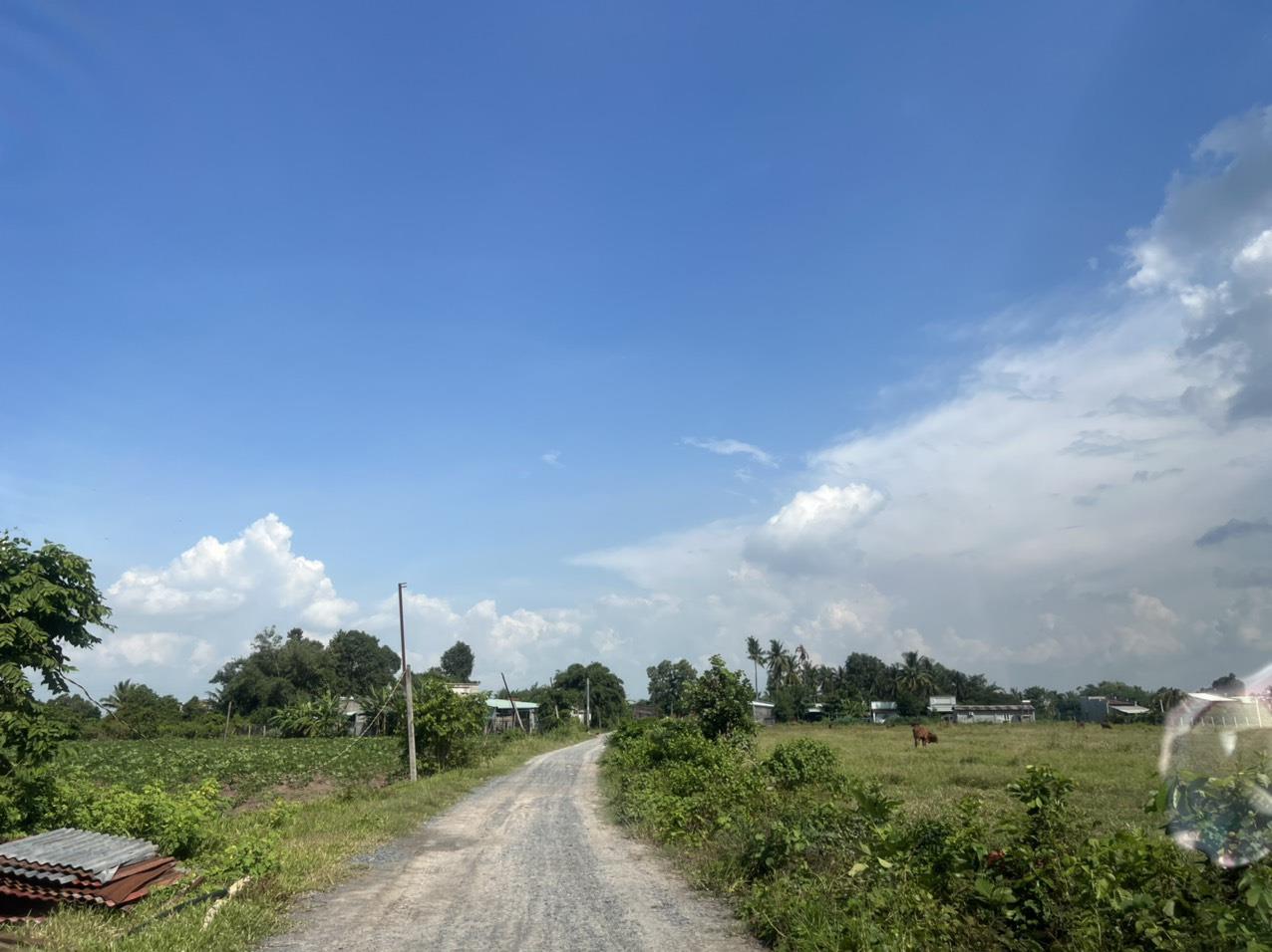 GIÁ CỰC SỐC! CẦN BÁN NHANH LÔ ĐẤT Vị Trí Đắc Địa Tại huyện Dương Minh Châu, tỉnh Tây Ninh 1