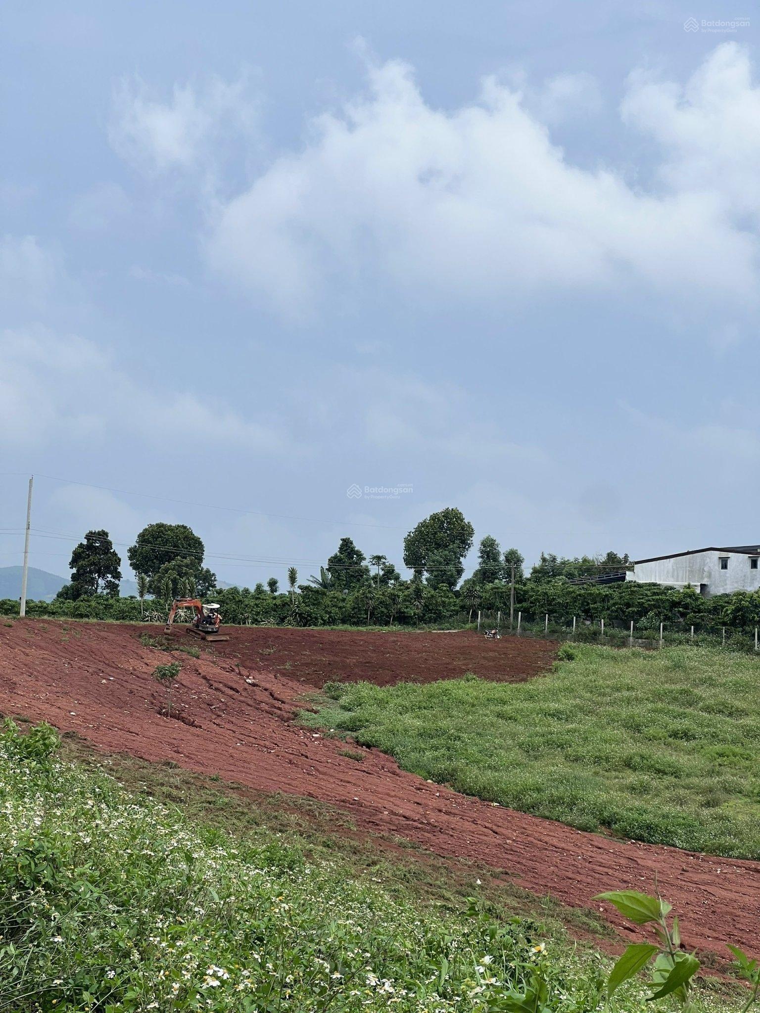 Bán 40 lô đất xã Lộc Ngãi đã phân lô, sổ đỏ chính chủ, mỗi sổ 100m2 thổ cư 3