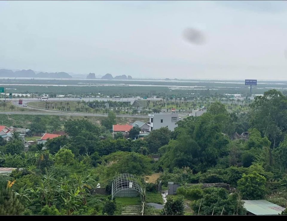 Bán 13,5Ha đất  Rừng tại Cầu Trắng, Đại Yên. View toàn cảnh Siêu dự án Vinhomes Hạ Long Xanh 6