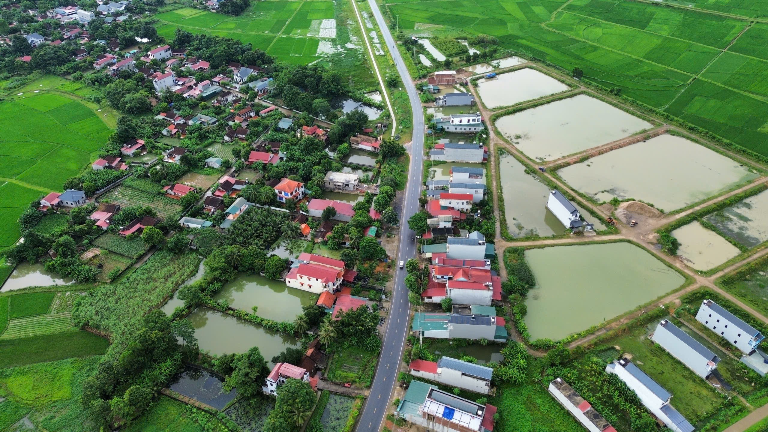 Chính chủ cần bán cắt lỗ 555m2 đất đấu giá tại Cẩm Bình, Cẩm Thuỷ, Thanh Hoá 3