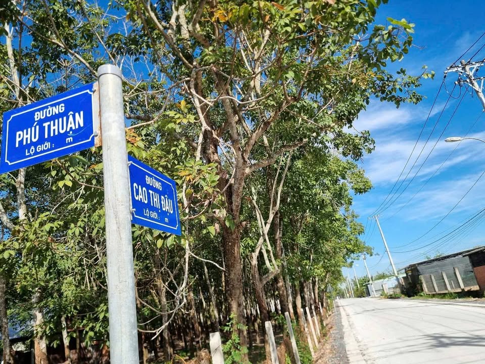 Cần bán Đất đường Cao Thi Đáo, Xã Phú Mỹ Hưng, Diện tích 300m², Giá 3.9 Tỷ 2