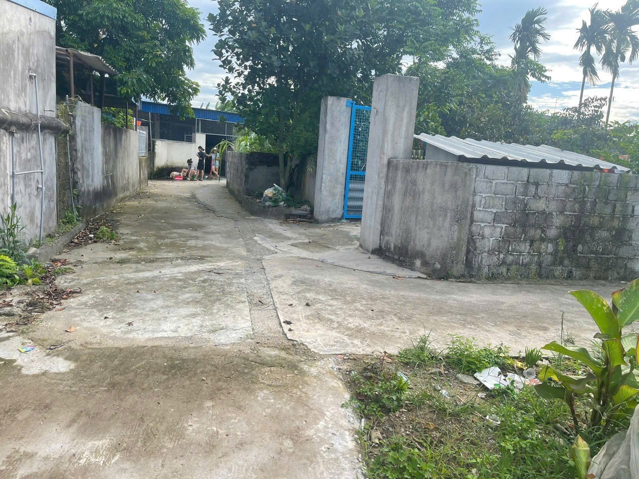590 tr 100m2 Nghi Dương Kiến Thụy Zalo 0567222555 4