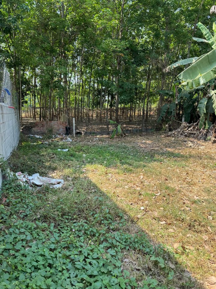 Cần bán Đất đường Cao Thi Đáo, Xã Phú Mỹ Hưng, Diện tích 232m², Giá 3.8 Tỷ 2