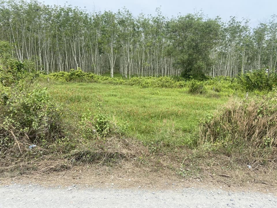 Cần bán Đất đường Cao Thi Đáo, Xã Phú Mỹ Hưng, Diện tích 8550m², Giá 85 Tỷ