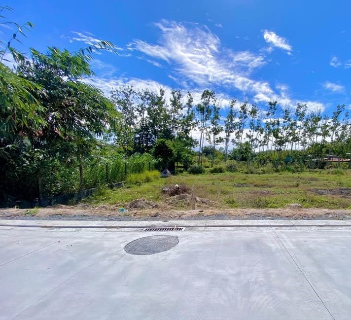 Cần bán Đất đường Cao Thi Đáo, Xã Phú Mỹ Hưng, Diện tích 12000m², Giá 110 Tỷ 2