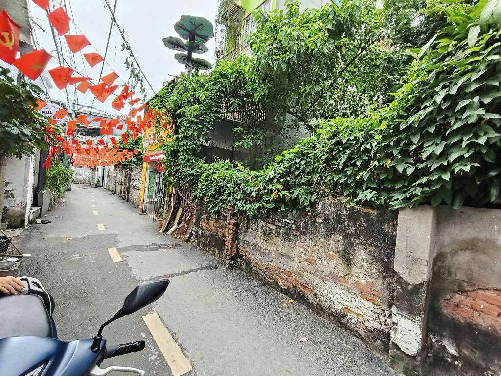 Cần bán Đất đường Thúy Lĩnh, Phường Lĩnh Nam, Diện tích 115m², Giá 16.2 Tỷ