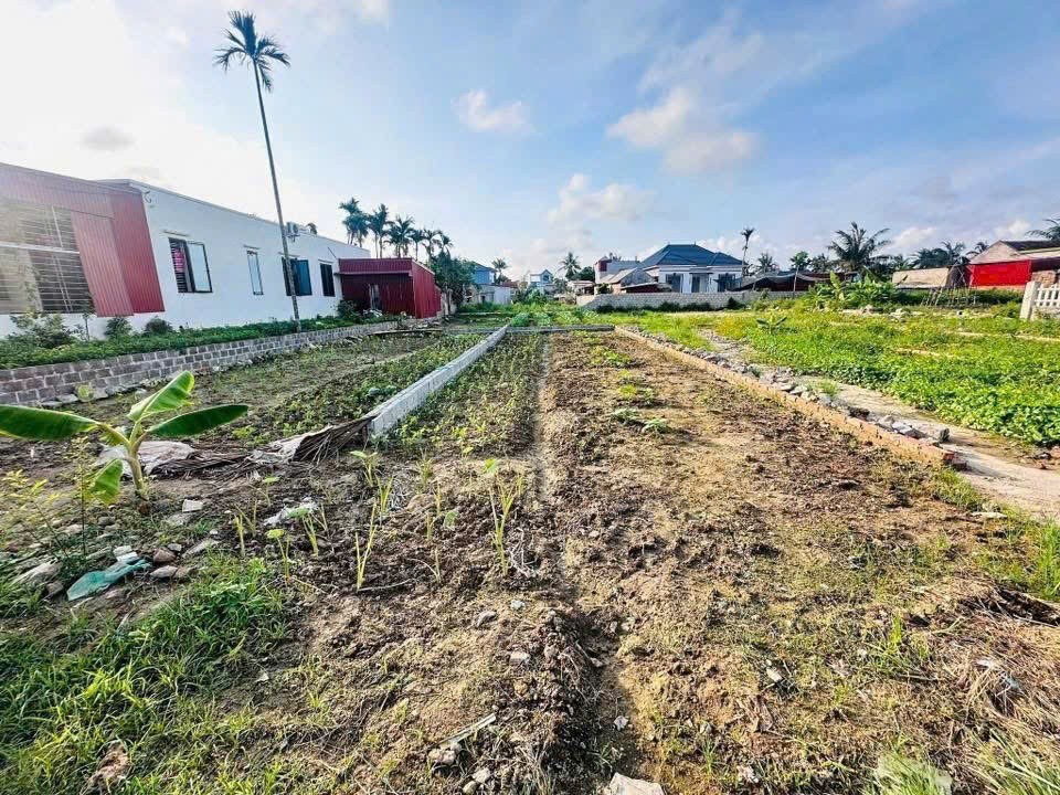 8xx triệu - 89.5m2 Cốc Liễn Minh Tân Zalo 0567222555 2