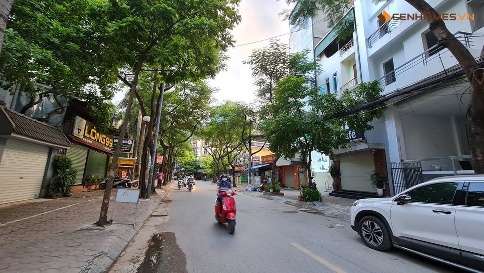 MẶT PHỐ DỊCH VỌNG - 495M² - MT 8M - ĐẤT VUÔNG ĐẸP - 150 TỶ 2