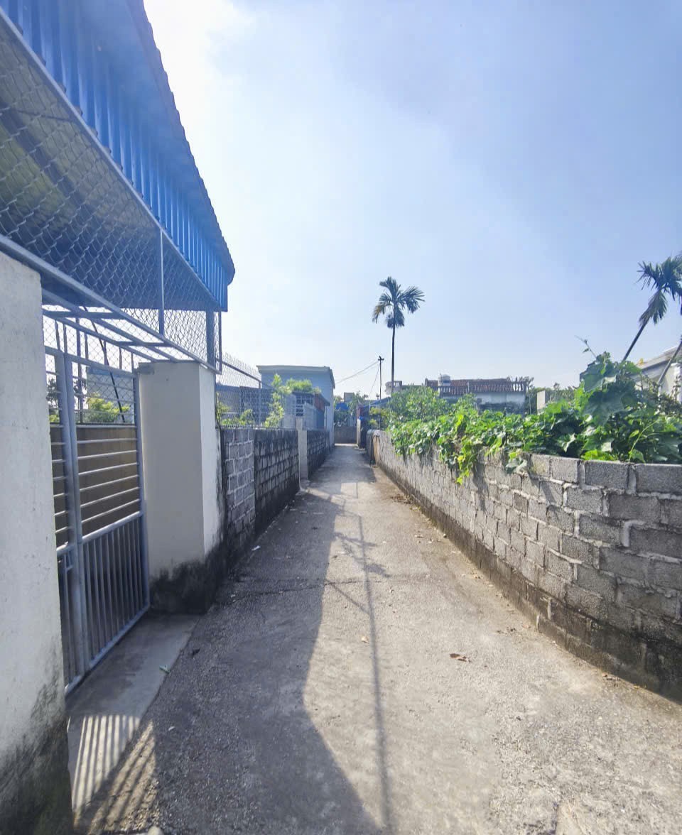 590 tr 100m2 Nghi Dương Kiến Thụy Zalo 0567222555