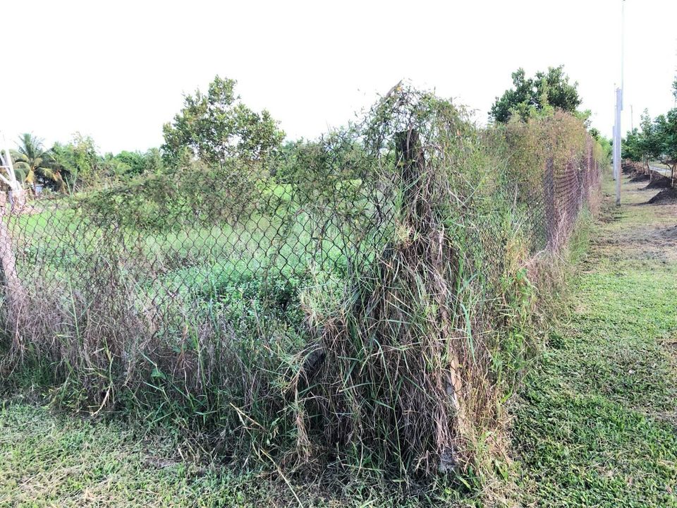 Cần bán Đất đường ĐT 784, Xã Truông Mít, Diện tích 10000m², Giá 130 Tỷ