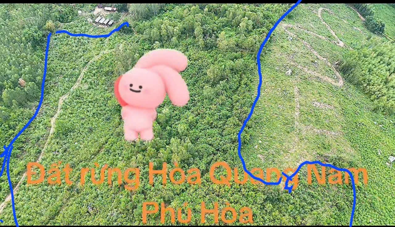 Cần Bán 5,1ha Đất Thôn Phú Thạnh, Xã Hòa Quang Nam, Huyện Phú Hòa, Tỉnh Phú Yên (nay thuộc Đắk Lắk) 2