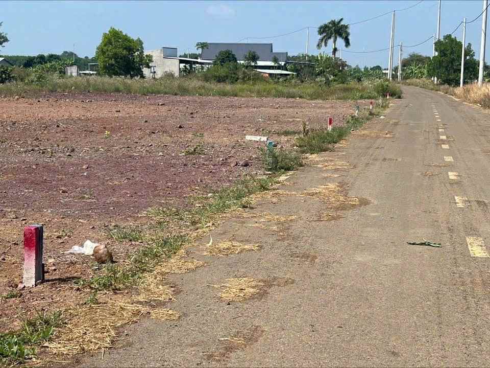 Cần bán Đất đường Long Tân-Láng Dài, Xã Phước Long Thọ, Diện tích 500m², Giá 1.2 Tỷ 3