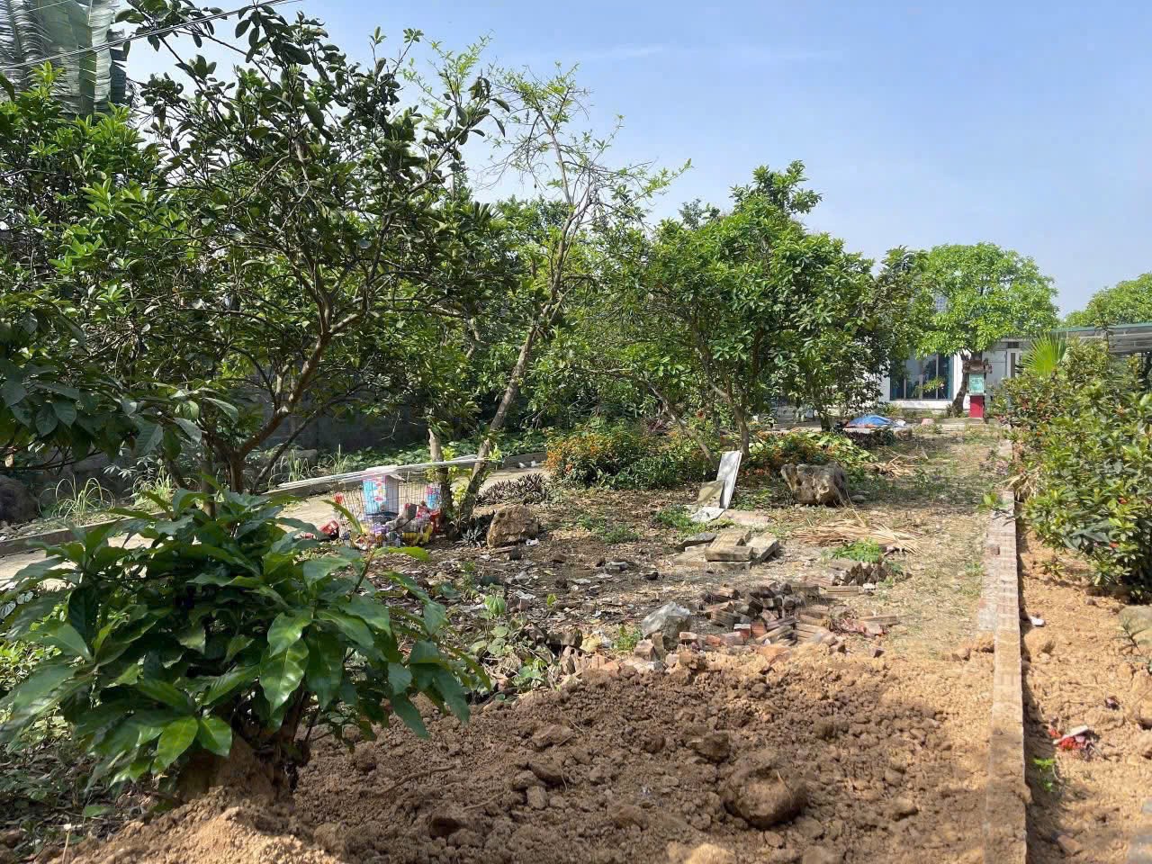 Bán 480m² đất tại Hòa Sơn ,Lương Sơn, Hòa Bình – Gần KCN, giáp đường Đông Dương, giá đầu tư 2