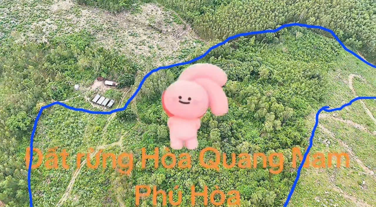 Cần Bán 5,1ha Đất Thôn Phú Thạnh, Xã Hòa Quang Nam, Huyện Phú Hòa, Tỉnh Phú Yên (nay thuộc Đắk Lắk) 3
