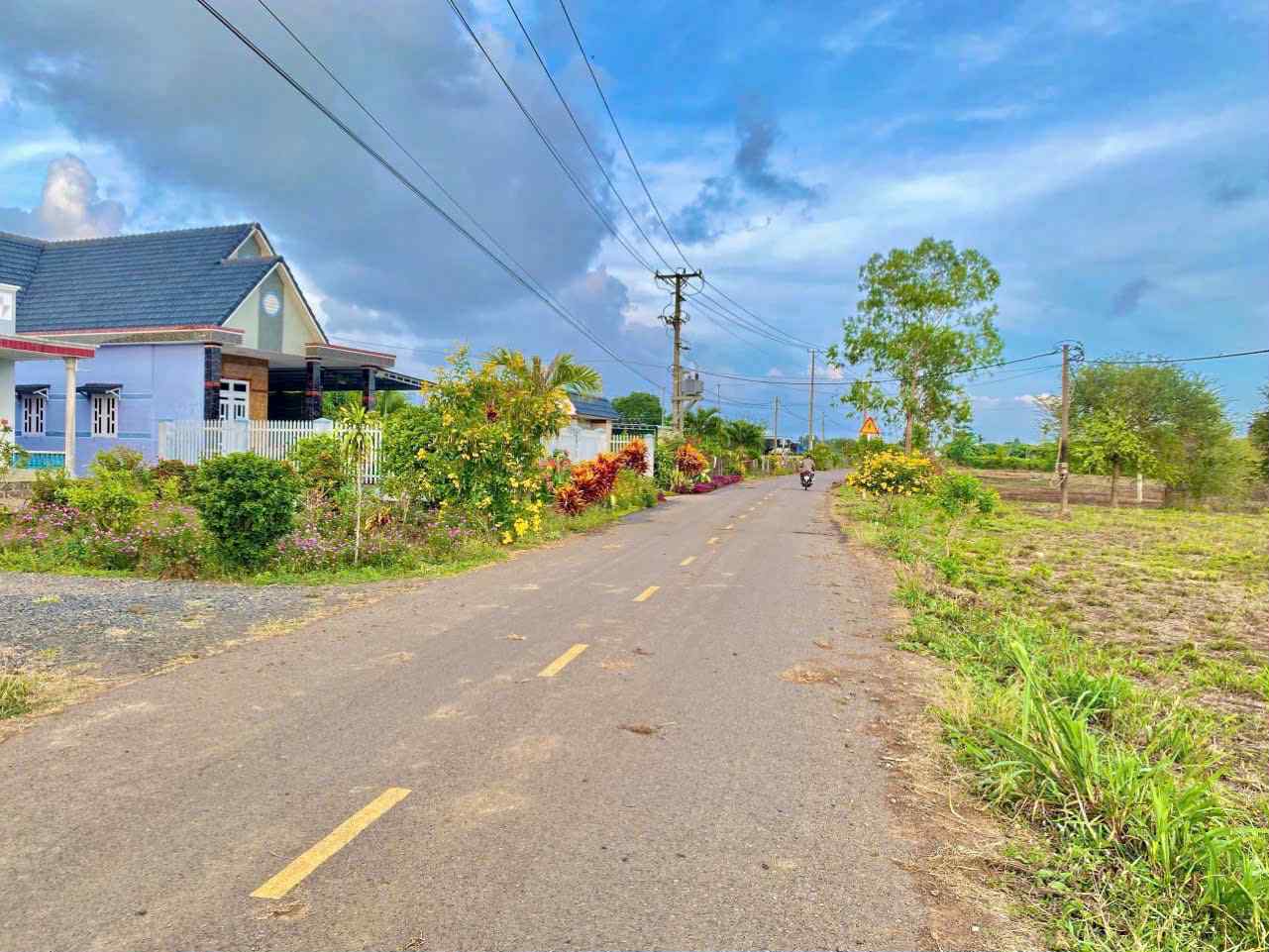 Cần bán Đất đường Long Tân-Láng Dài, Xã Láng Dài, Diện tích 1000m², Giá 1.7 Tỷ 6
