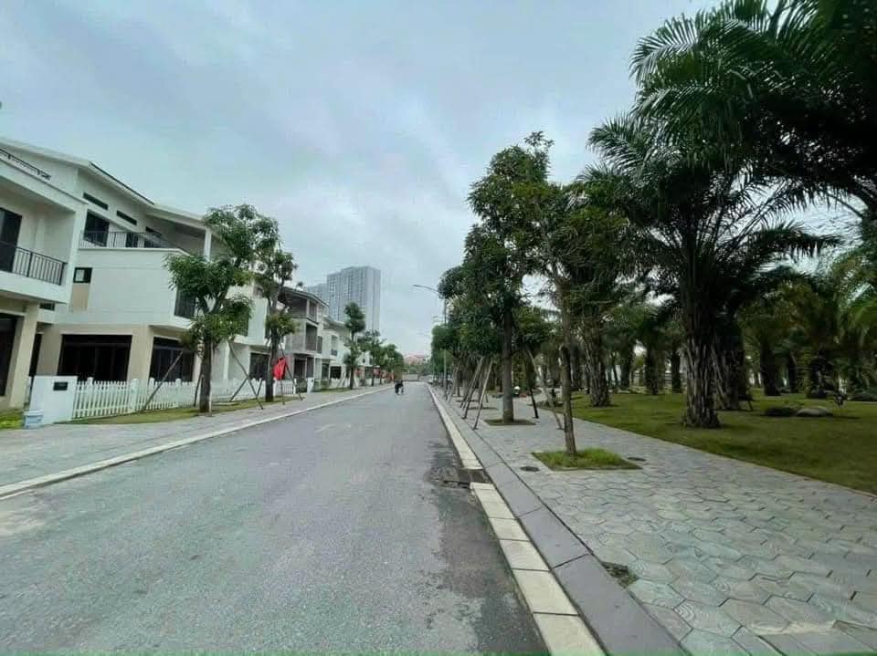 Cần bán Biệt thự Hải Dương, Hải Dương, Diện tích 271.89m², Giá 195 Triệu/m²