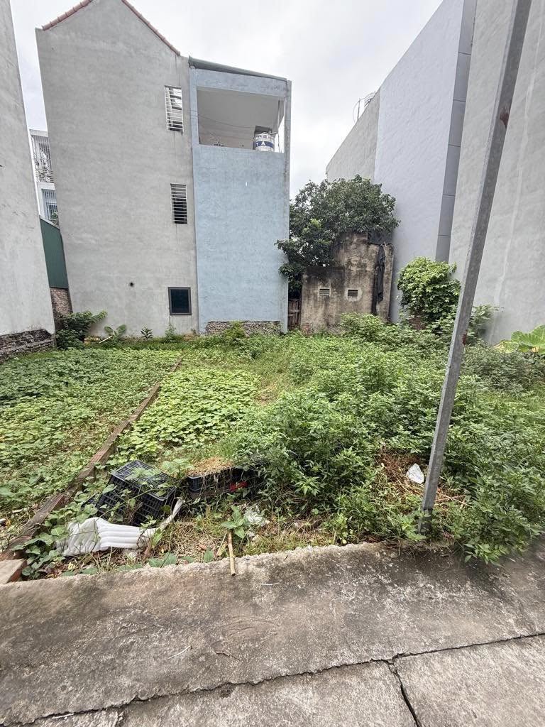 T9 Đất thổ cư 48m chính chủ - Miêu Nha, Tây Mỗ, Nam Từ Liêm(cũ). 3