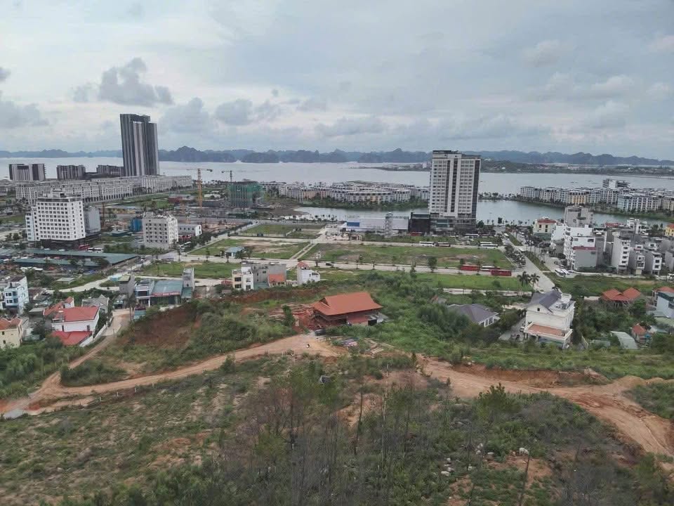 Cần bán Căn hộ chung cư Hạ Long, Quảng Ninh, Diện tích 6000m², Giá 100 Tỷ