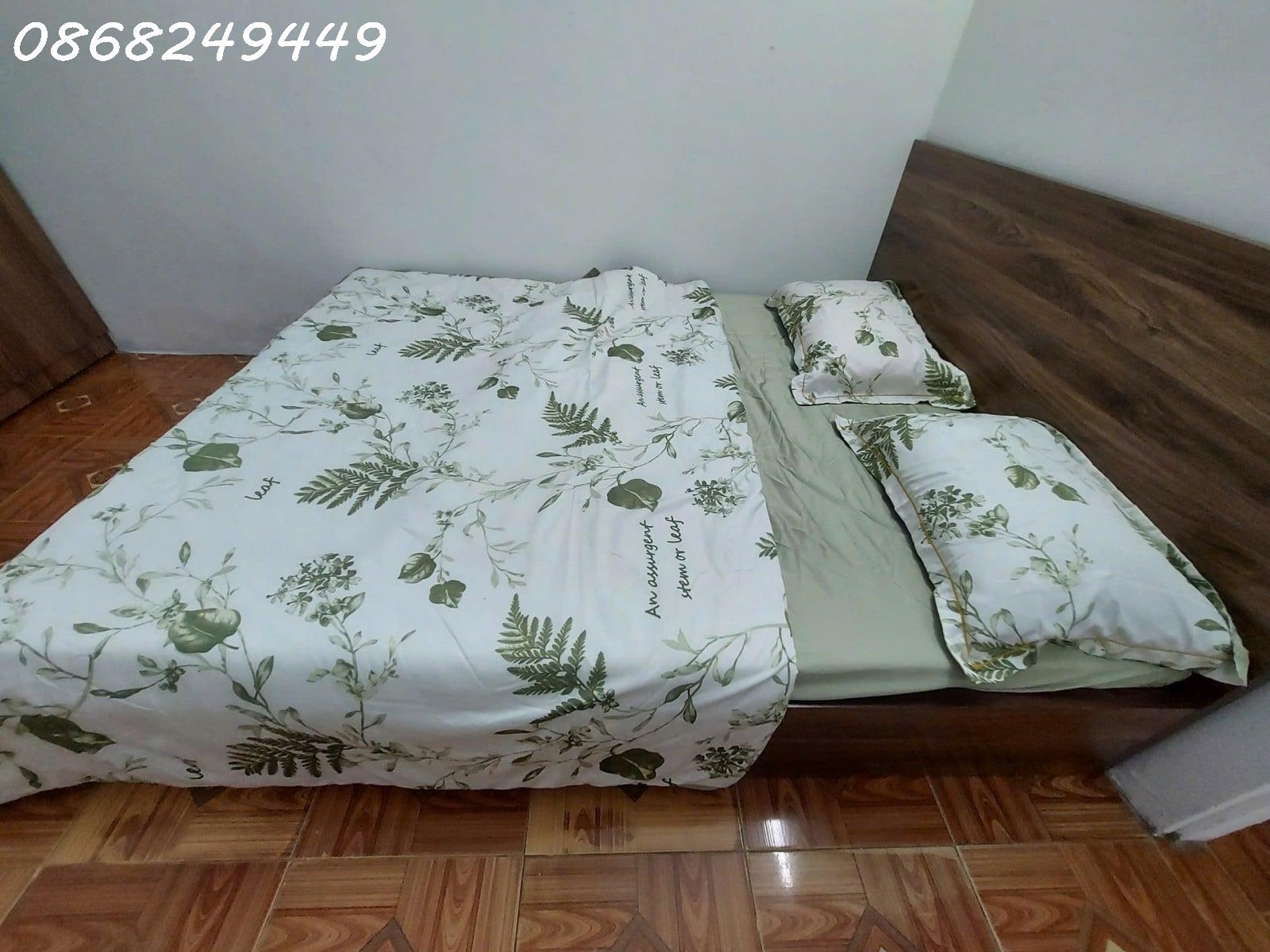 Bán nhà cấp 4 sau đại học sư phạm, kiệt 119 phạm như xương, giá chỉ hơn 2 tỷ 3