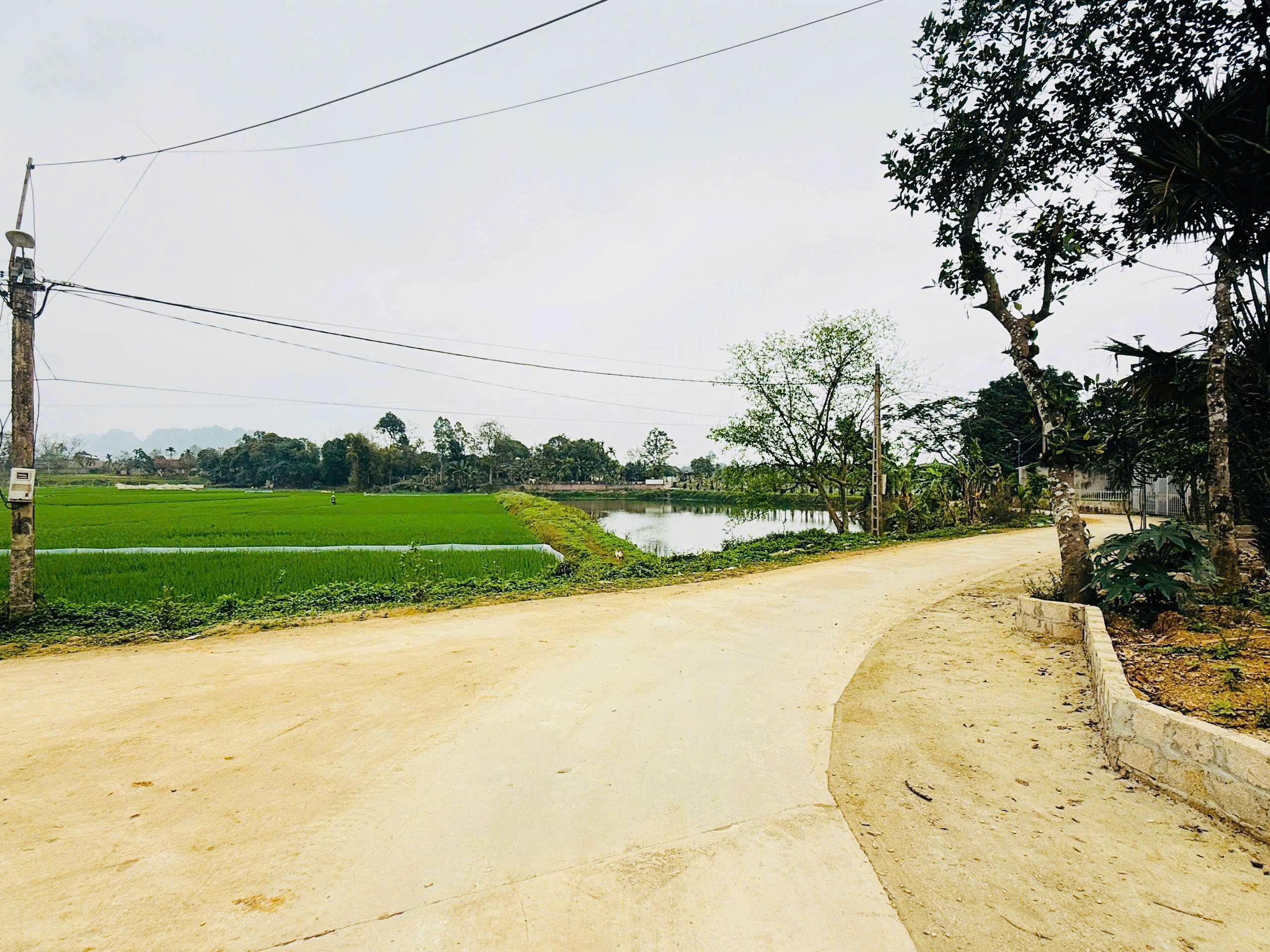 HOT – ĐẤT ĐẸP FULL THỔ CƯ – GIÁ SIÊU HẤP DẪN TẠI THANH SƠN ,CAO DƯƠNG ,HÒA BÌNH 2