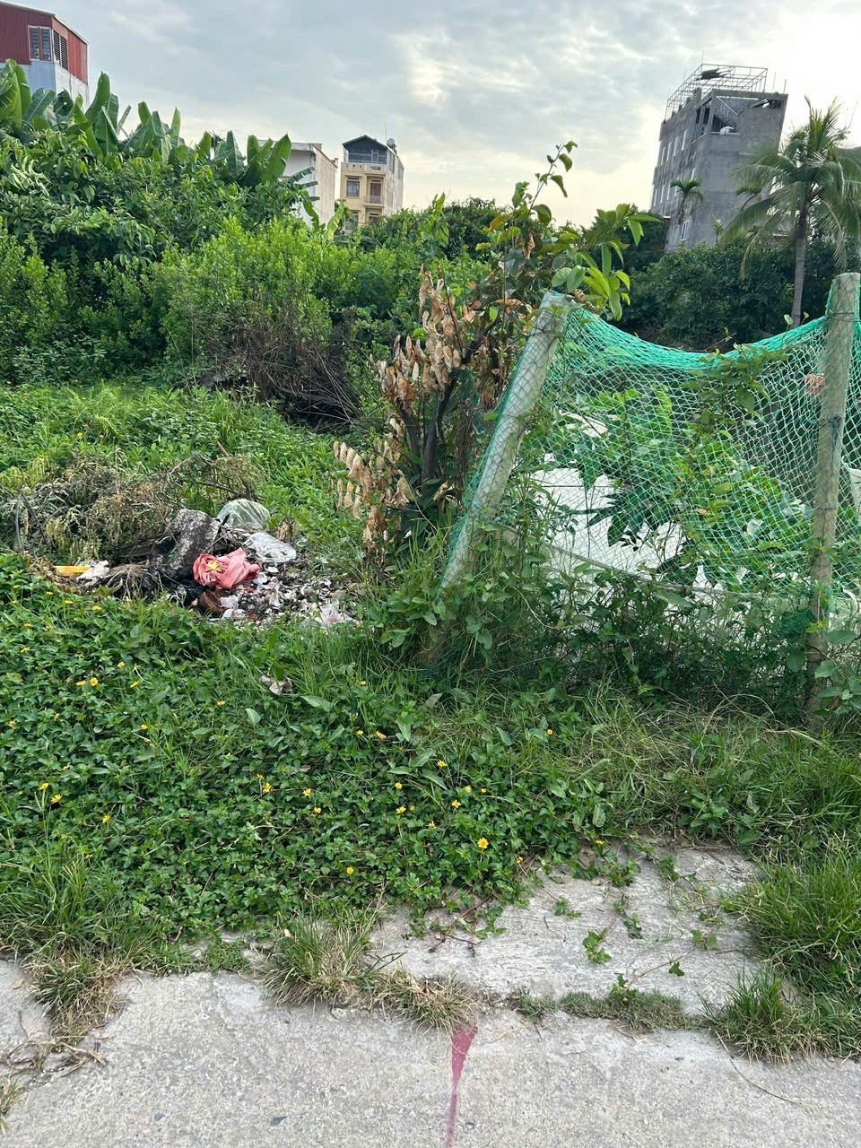 1.x tr/m2 – 126m2 Ngõ 169 Tân Thành Dương Kinh – Zalo 0567222555 3
