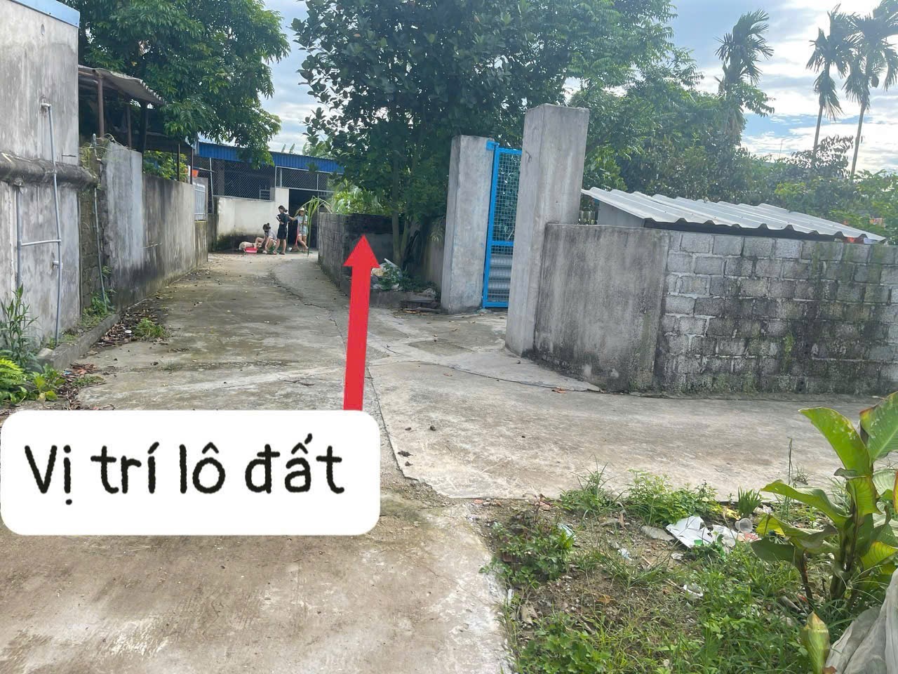 590 tr 100m2 Nghi Dương Kiến Thụy Zalo 0567222555 2