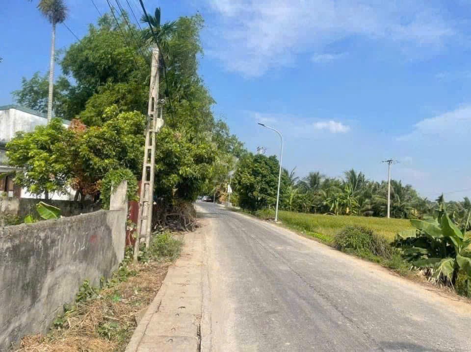 7xx triệu 85m2 tuyến 2 Cốc Liễn Minh Tân Kiến Thụy Zalo 0567222555 5