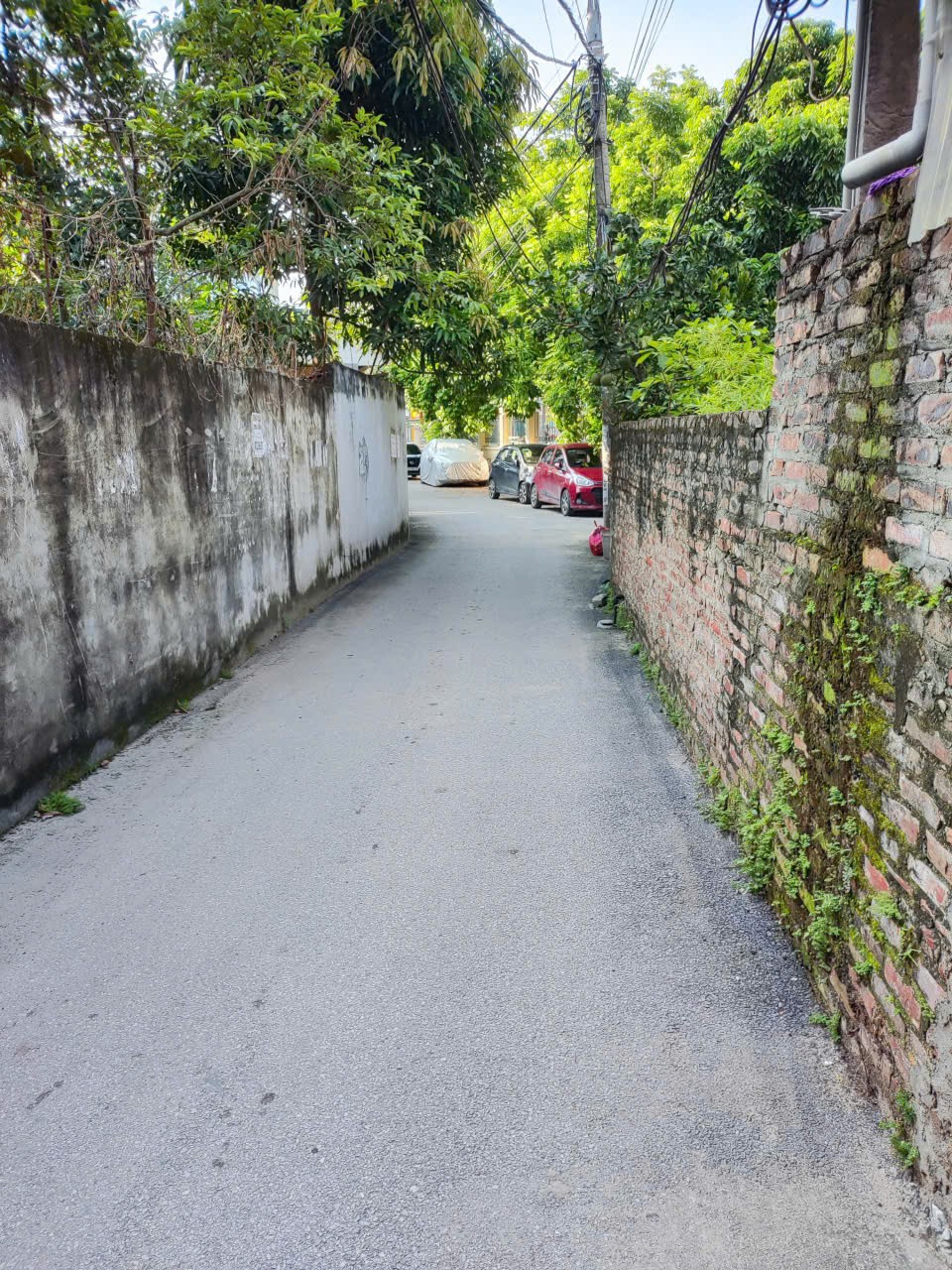BÁN ĐẤT ĐẤU GIÁ LẠC THỊ – LÔ ĐẸP KINH DOANH,-NHỈNH 7 TỶ- GẦN TRƯỜNG ,CHỢ!