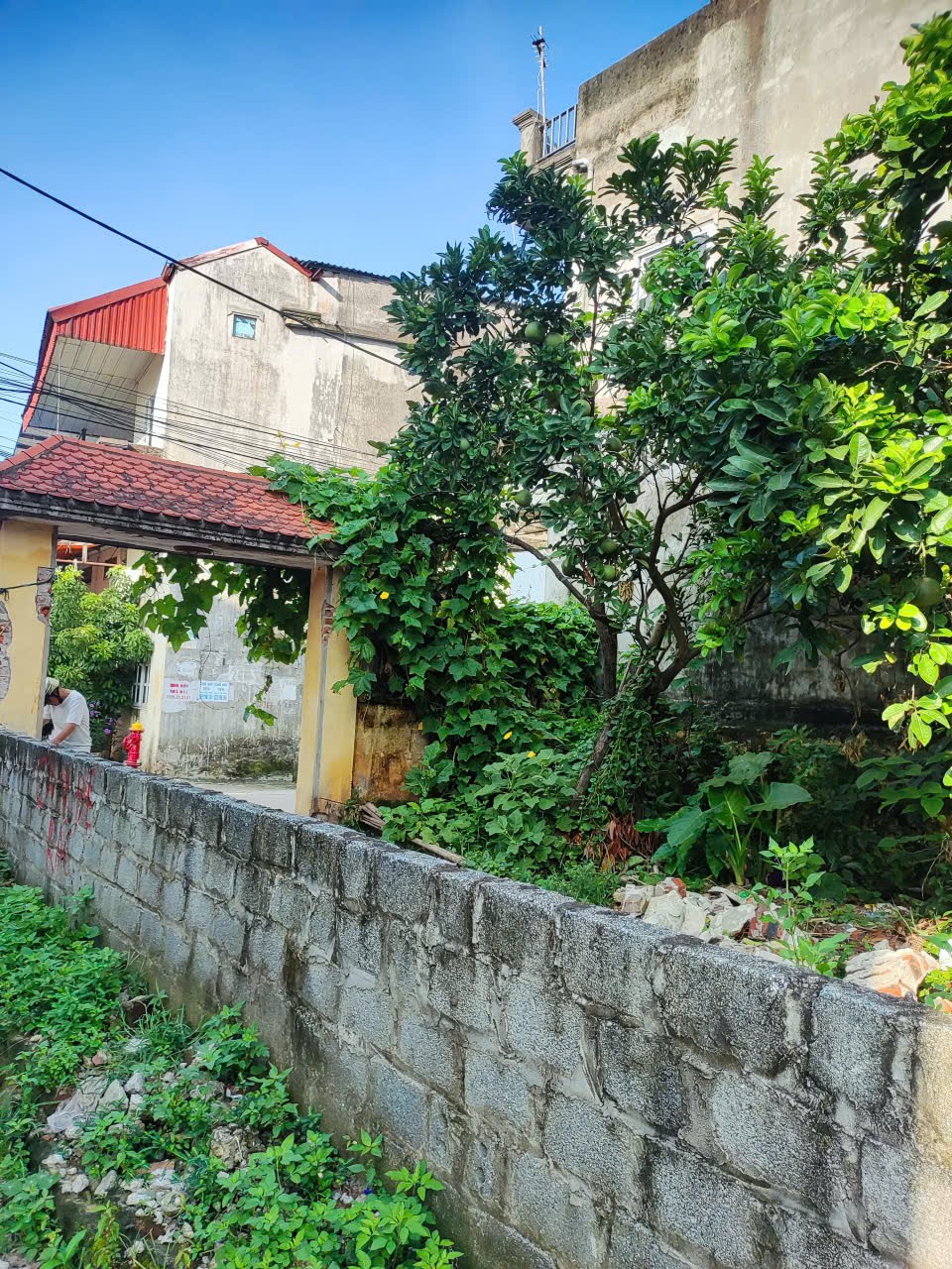 BÁN ĐẤT VĨNH TRUNG- LÔ SIÊU RỘNG( GIÁ 16 TỶ)- CHIA LÔ 2