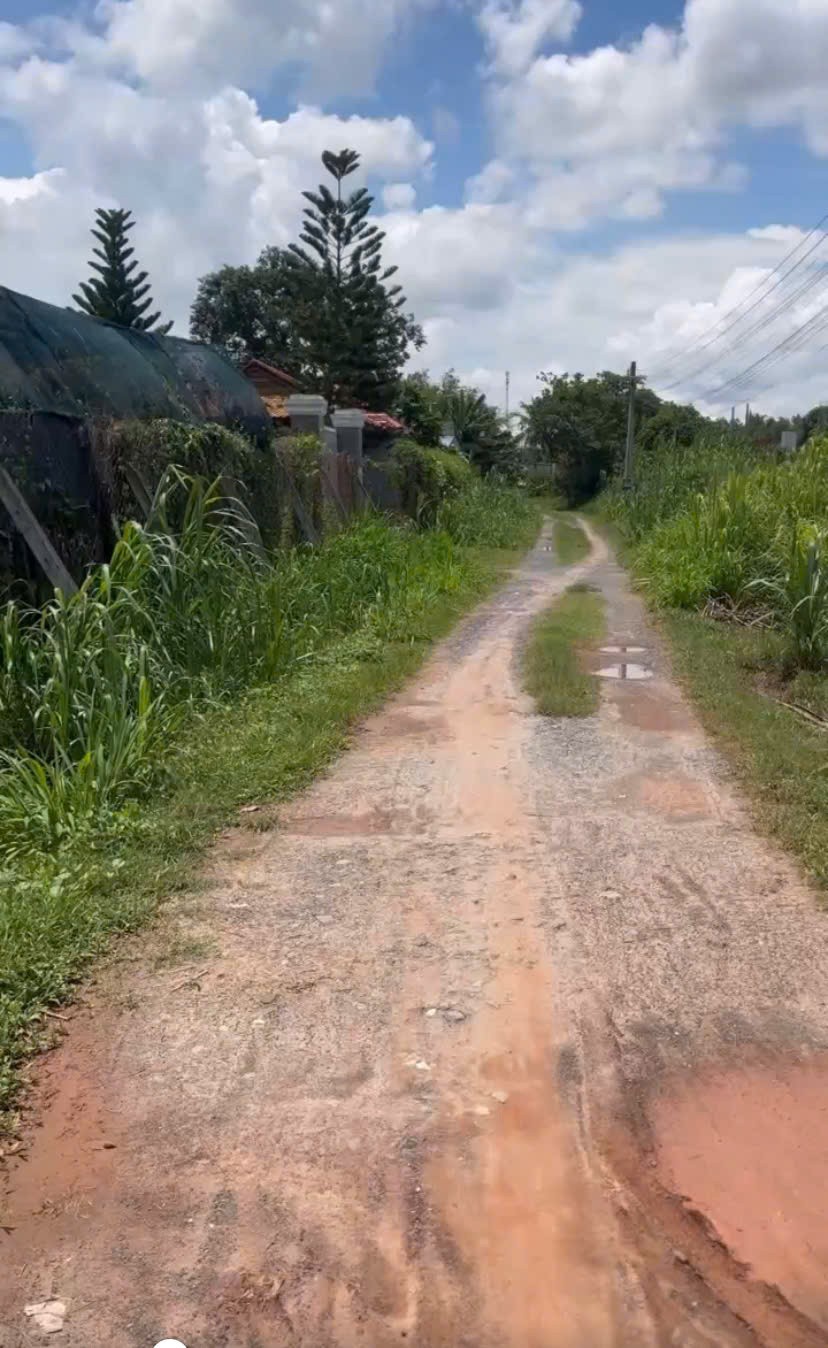 Chính Chủ Bán 1575,7m2 Đất Vườn Tại Phường Trảng Bàng, Thị Xã Trảng Bàng, Tây Ninh. 4