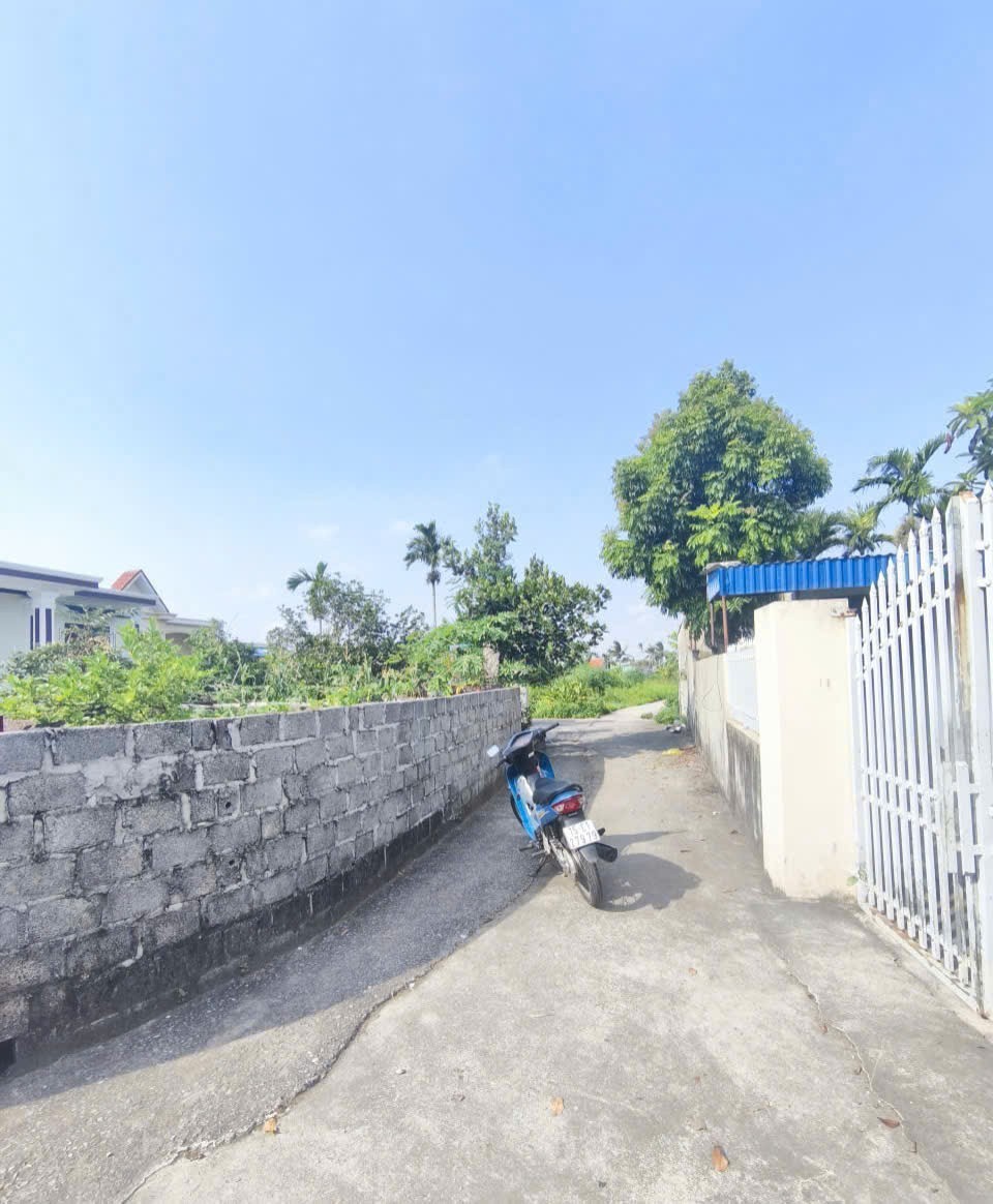590 tr 100m2 Nghi Dương Kiến Thụy Zalo 0567222555 5