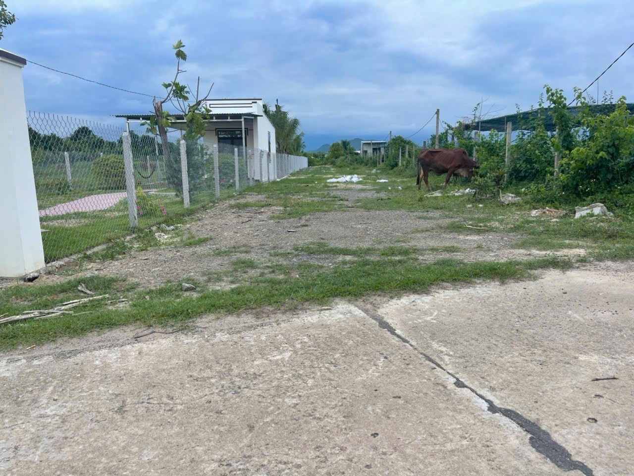 Bán đất vườn Diên Đồng sát bên khu dân cư- đường bê tông oto tới nơi 2