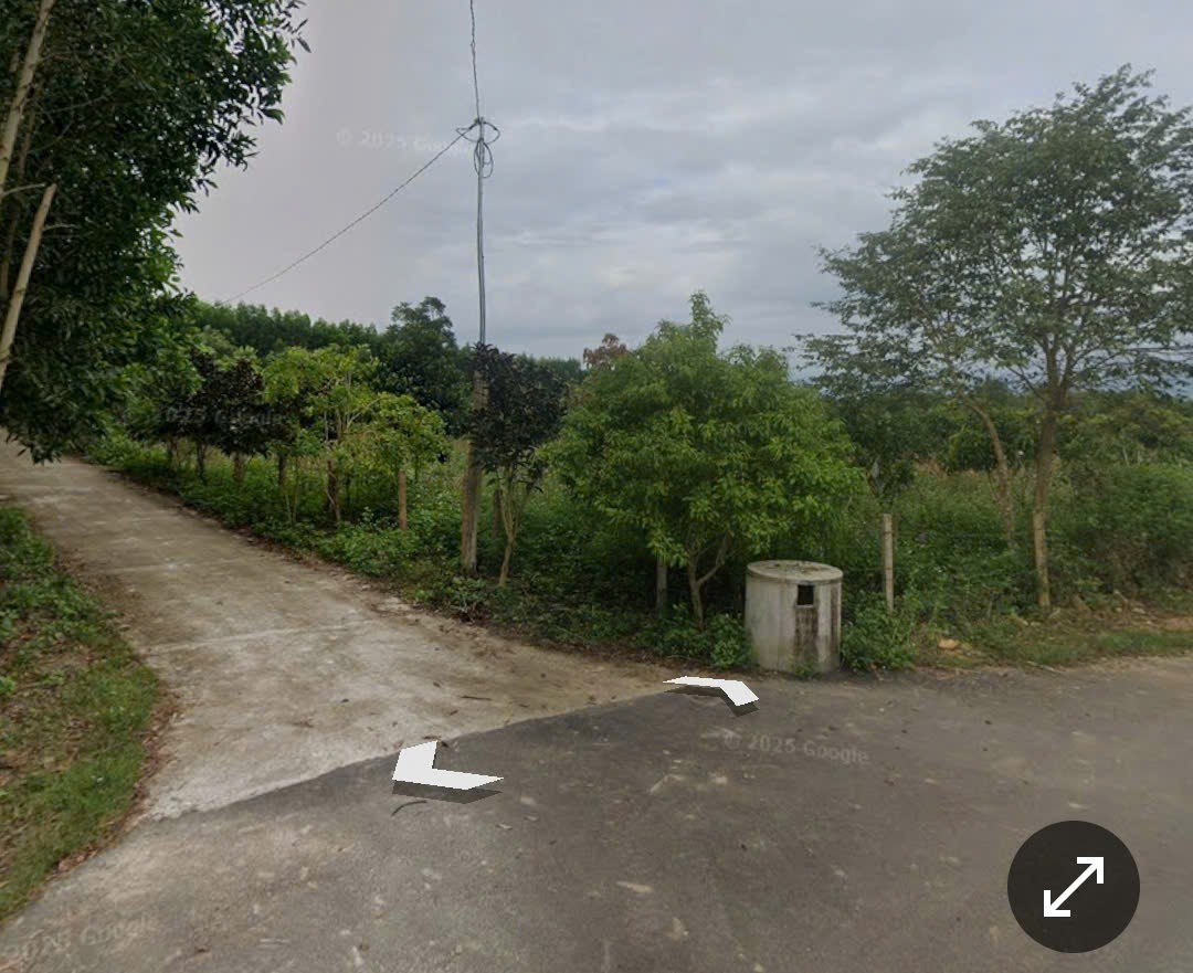 Bán đất vườn Diên Đồng giá rẻ mặt đường bê tông oto tới nơi