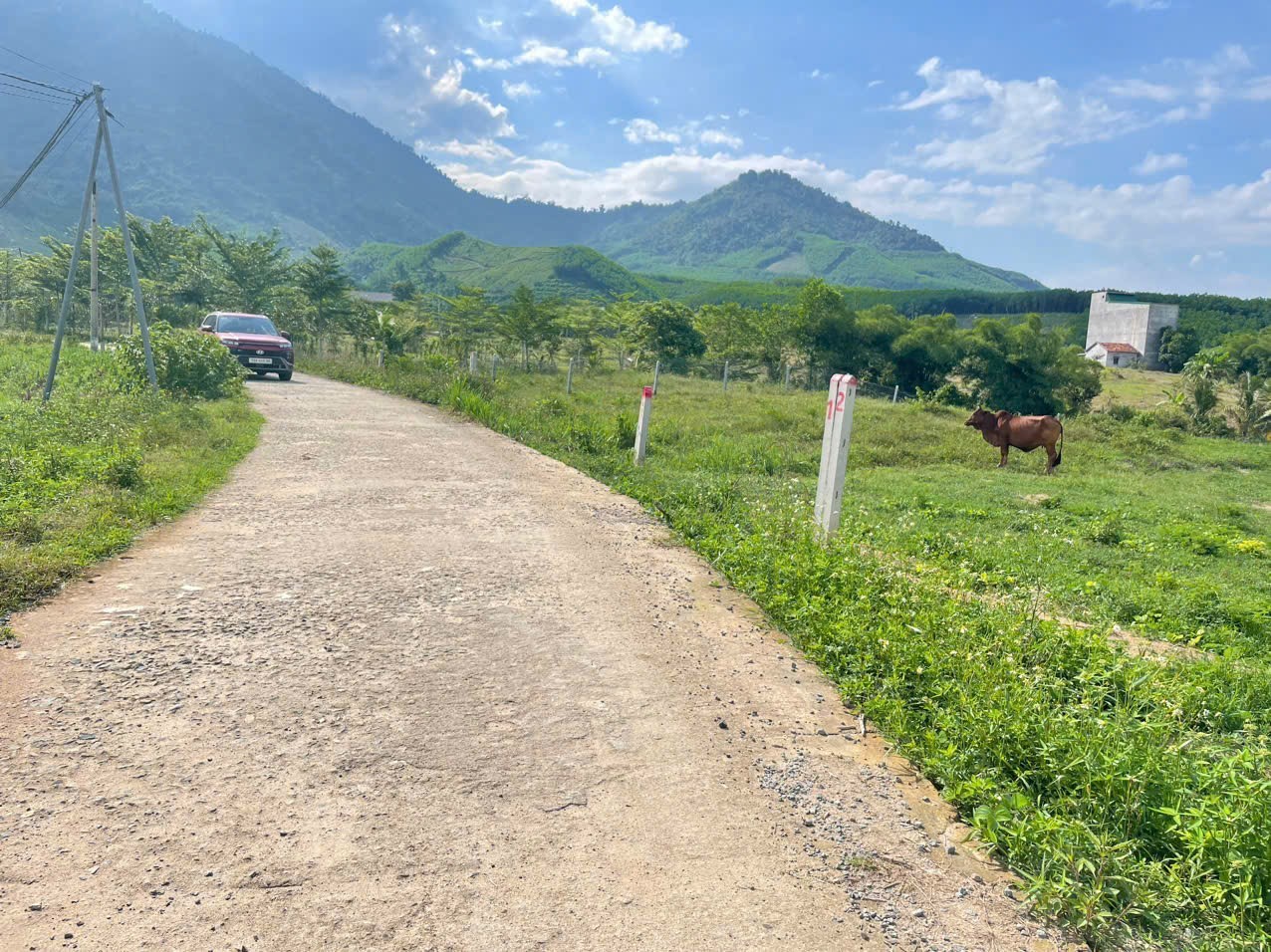 Bán đất Khánh Trung giá rẻ full thổ cư đường thông gần Hoa Quả Sơn Farm 4