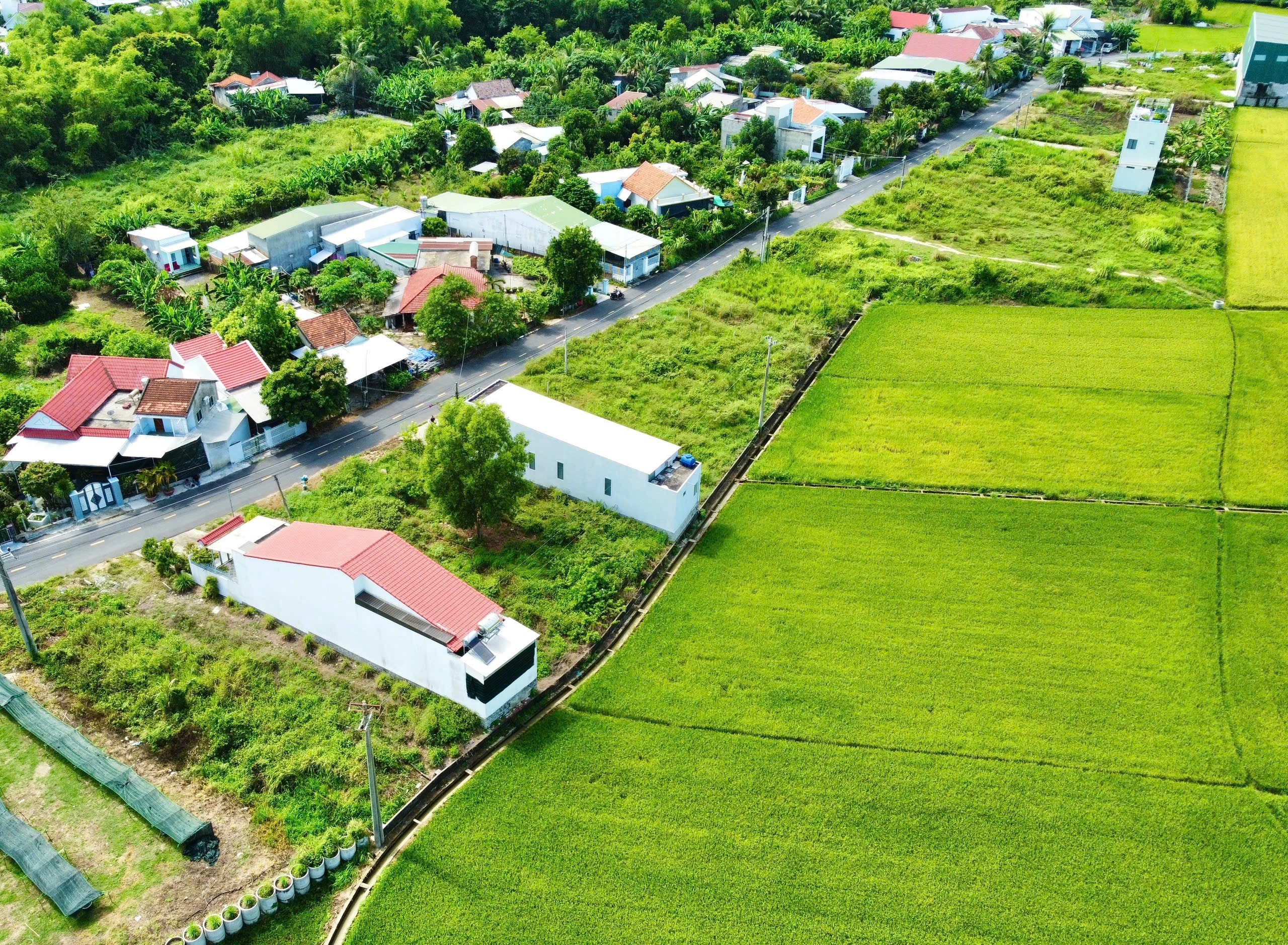 Bán đất Diên Thạnh full thổ cư mặt tiền đường nhựa Liên Xã QH 20m 5
