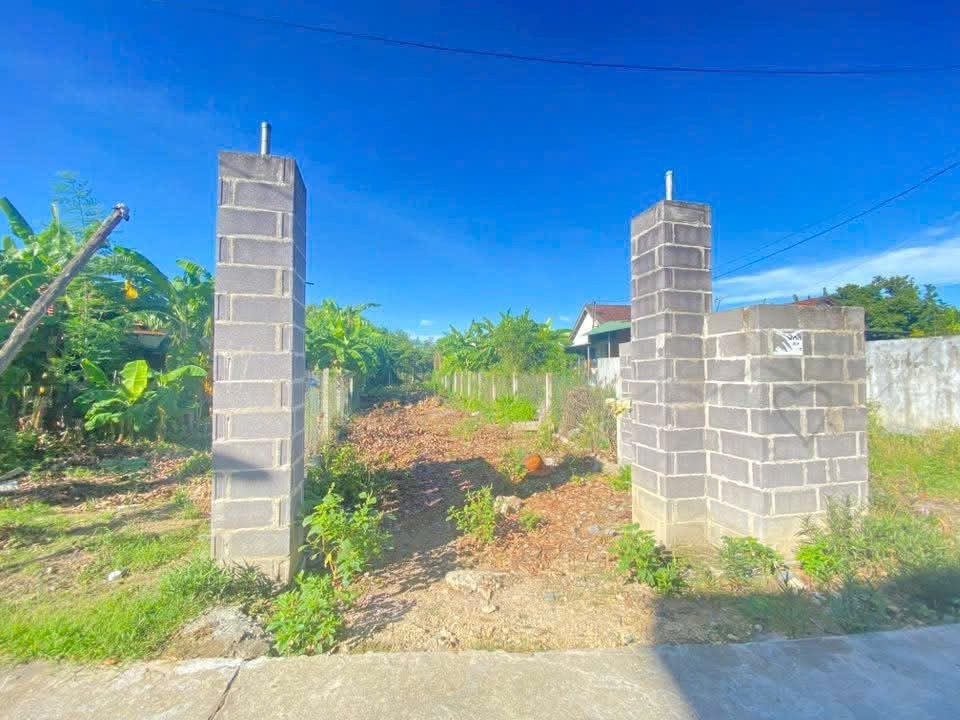 Bán đất Diên An thôn Phú Ân Nam đường thông gần chợ Bà Đề 4