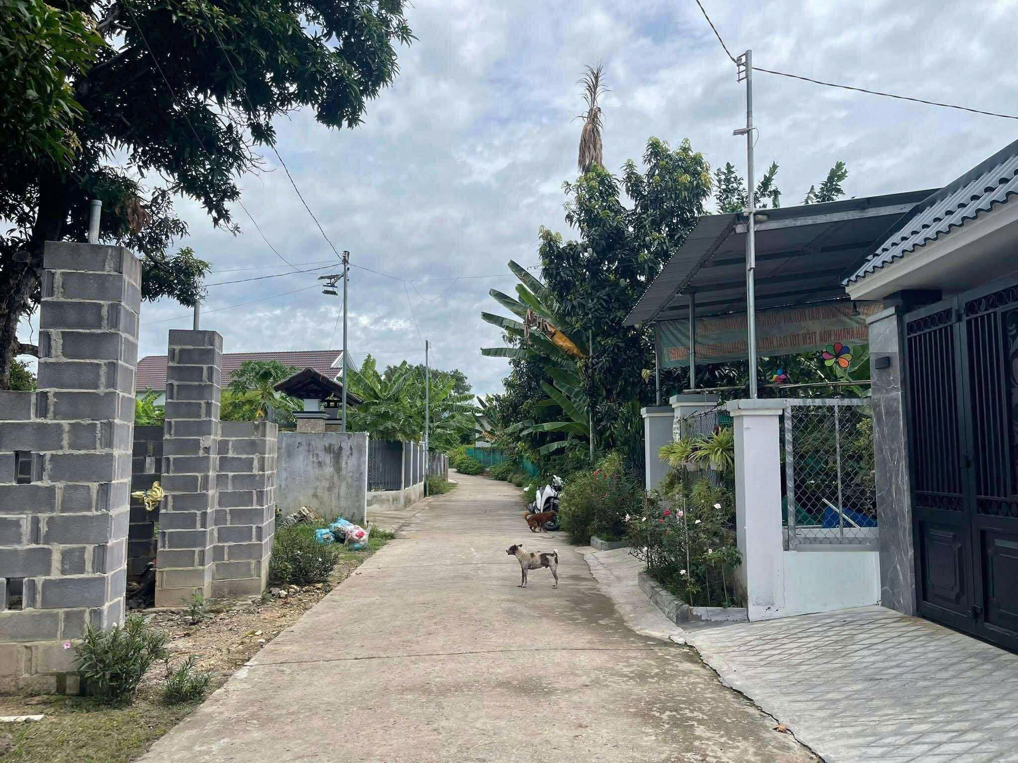 Bán đất Diên An thôn Phú Ân Nam đường thông gần chợ Bà Đề 6