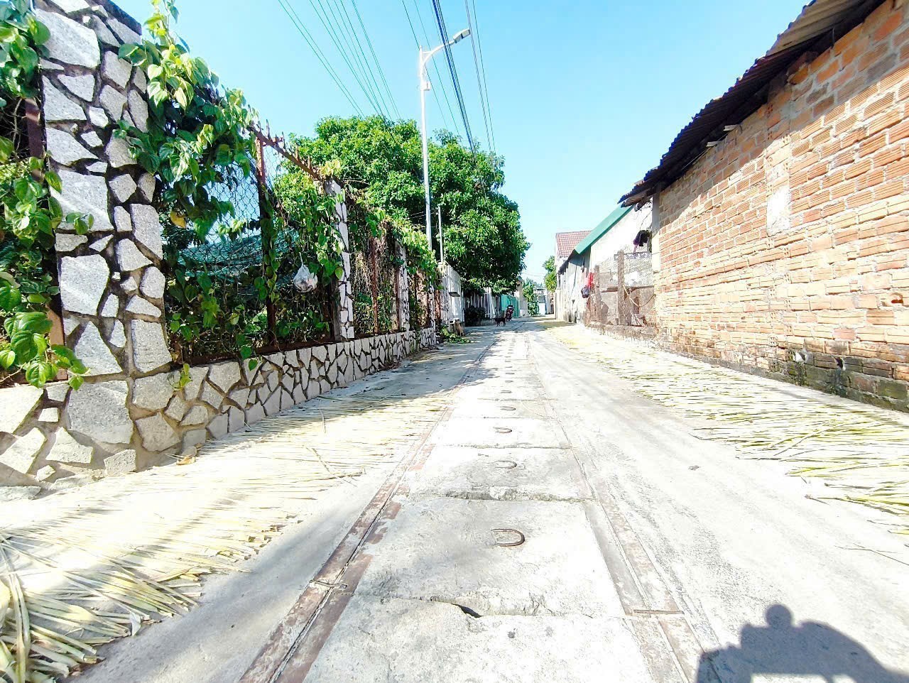 Bán đất Diên Lạc đường thông sát bên Tỉnh Lộ 2 gần chợ 3