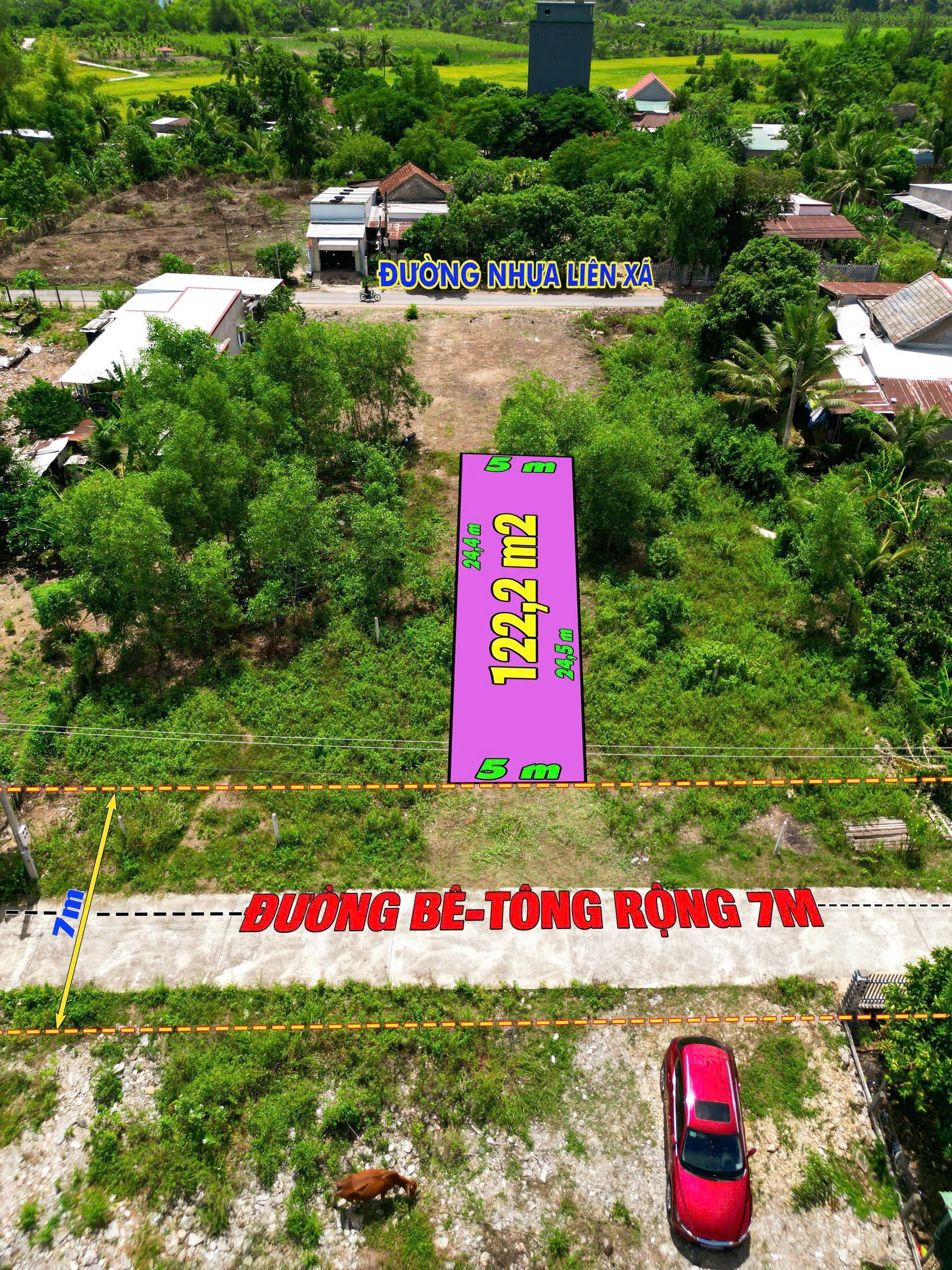 Bán đất Diên Đồng giá rẻ full thổ cư ngay trung tâm khu dân cư thôn 1 3