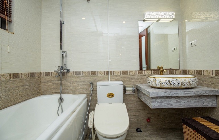 Cho thuê căn hộ 1PN rộng 55m2 tại Đào Tấn, Ba Đình, đầy đủ nội thất đẹp, hiện đại, có ban công 10
