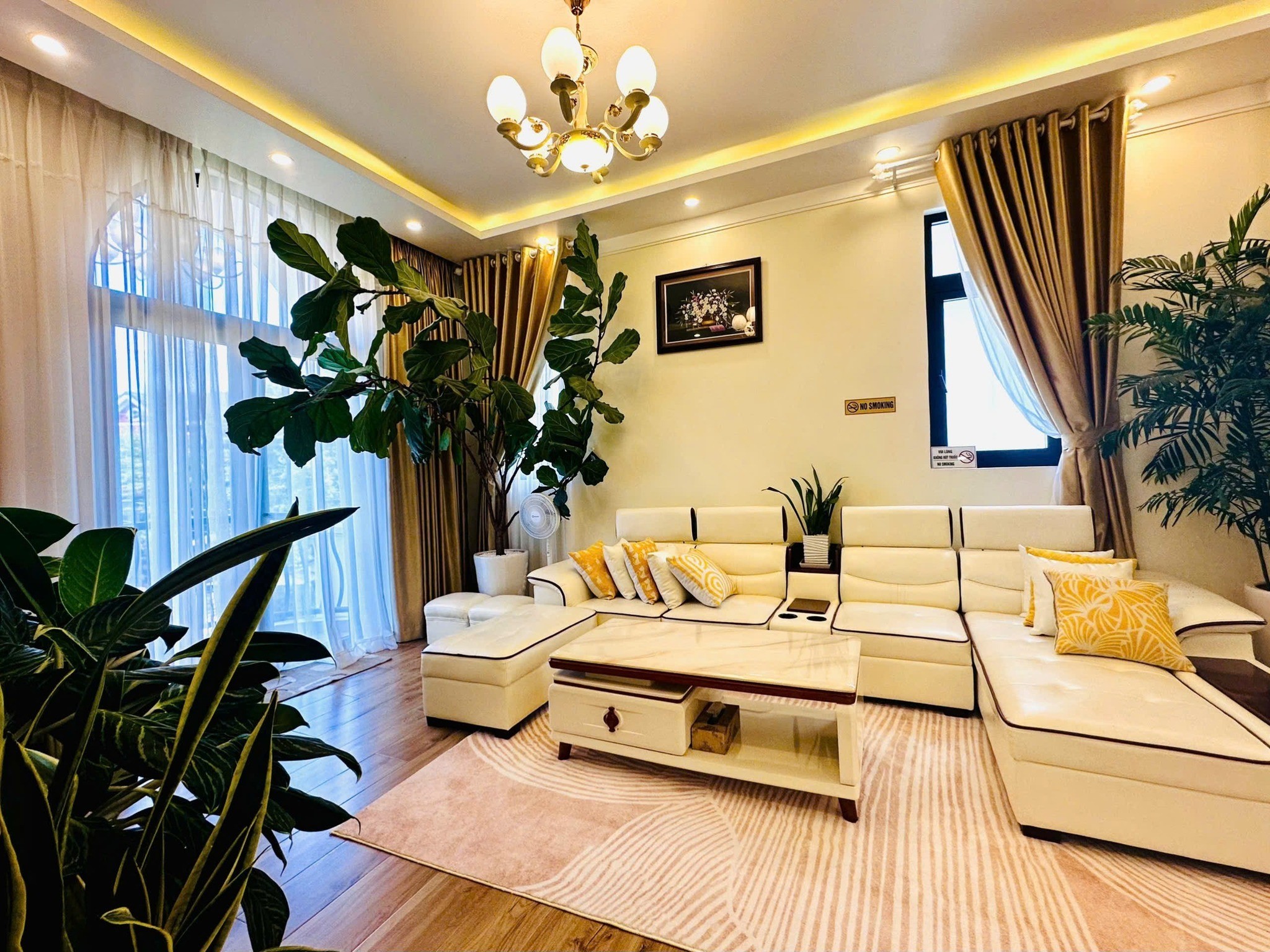 Cơ Hội Sở Hữu Biệt Thự Đẹp Tại Đà Lạt đường Nguyễn An Ninh 225m2 3